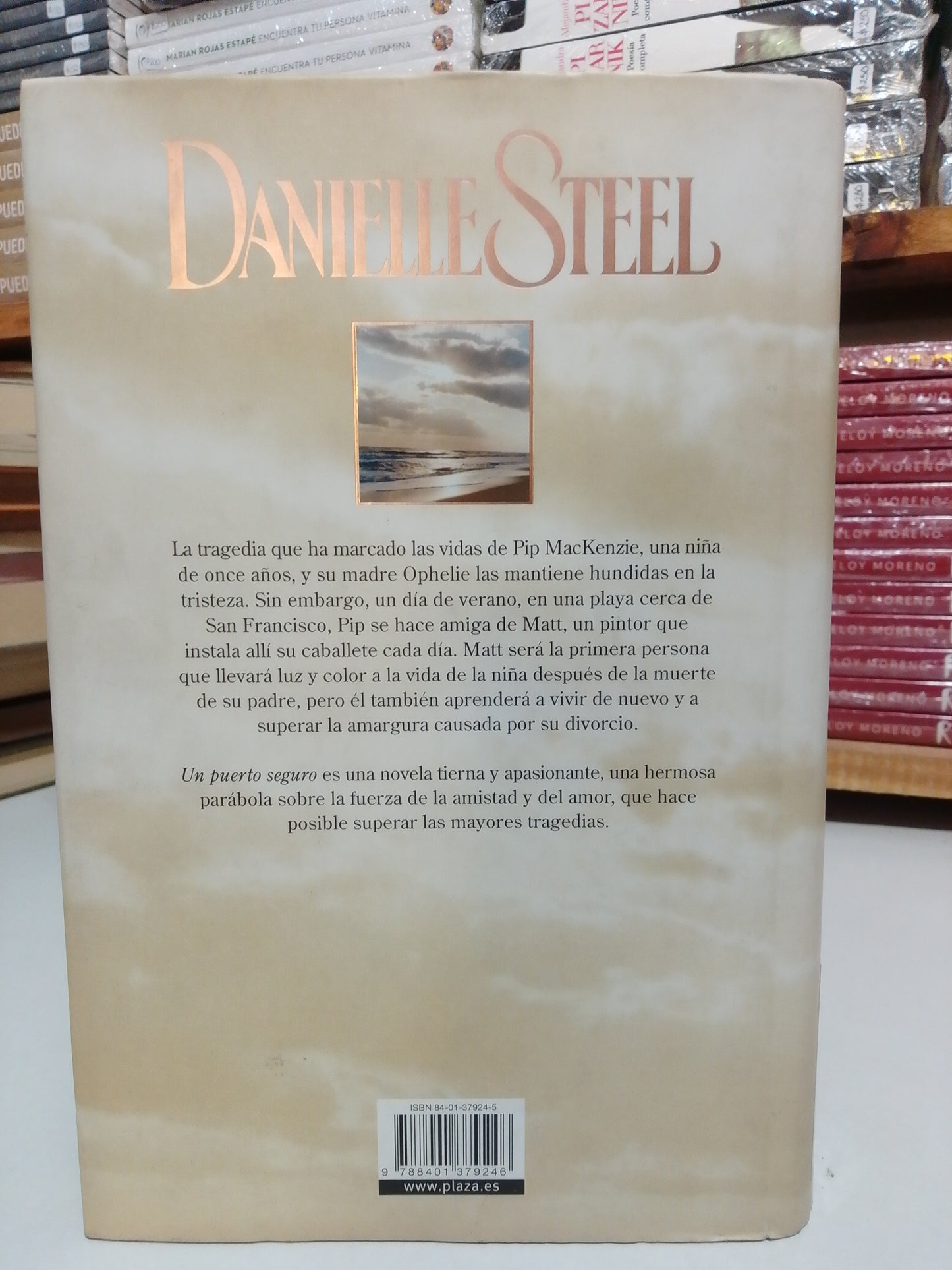 UN PUERTO SEGURO POR DANIELLE STEEL USADO NOVELA JUAREZ