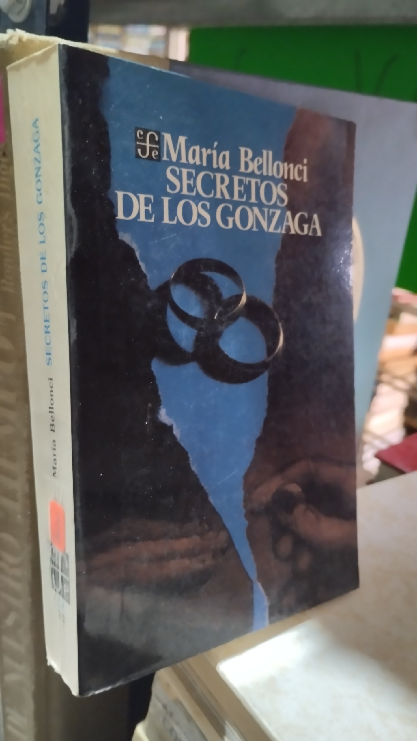 SECRETOS DE LOS GONZAGA POR MARIA BELLONCI LIBRO USADO NOVELAS ALDAMA