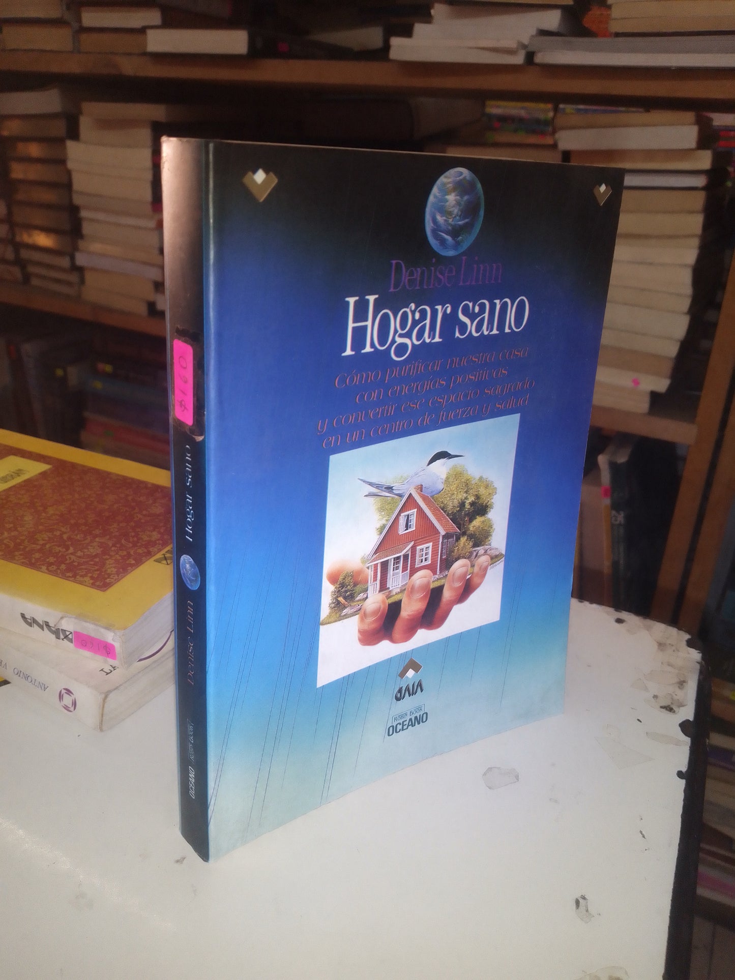 HOGAR SANO POR DENISE LINN USADO SUPERACIÓN PERSONAL LITERARIO 207