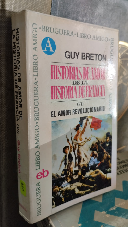 HISTORIAS DE AMOR DE LA HISTORIA DE FRANCIA VI LIBRO USADO NOVELAS ALDAMA