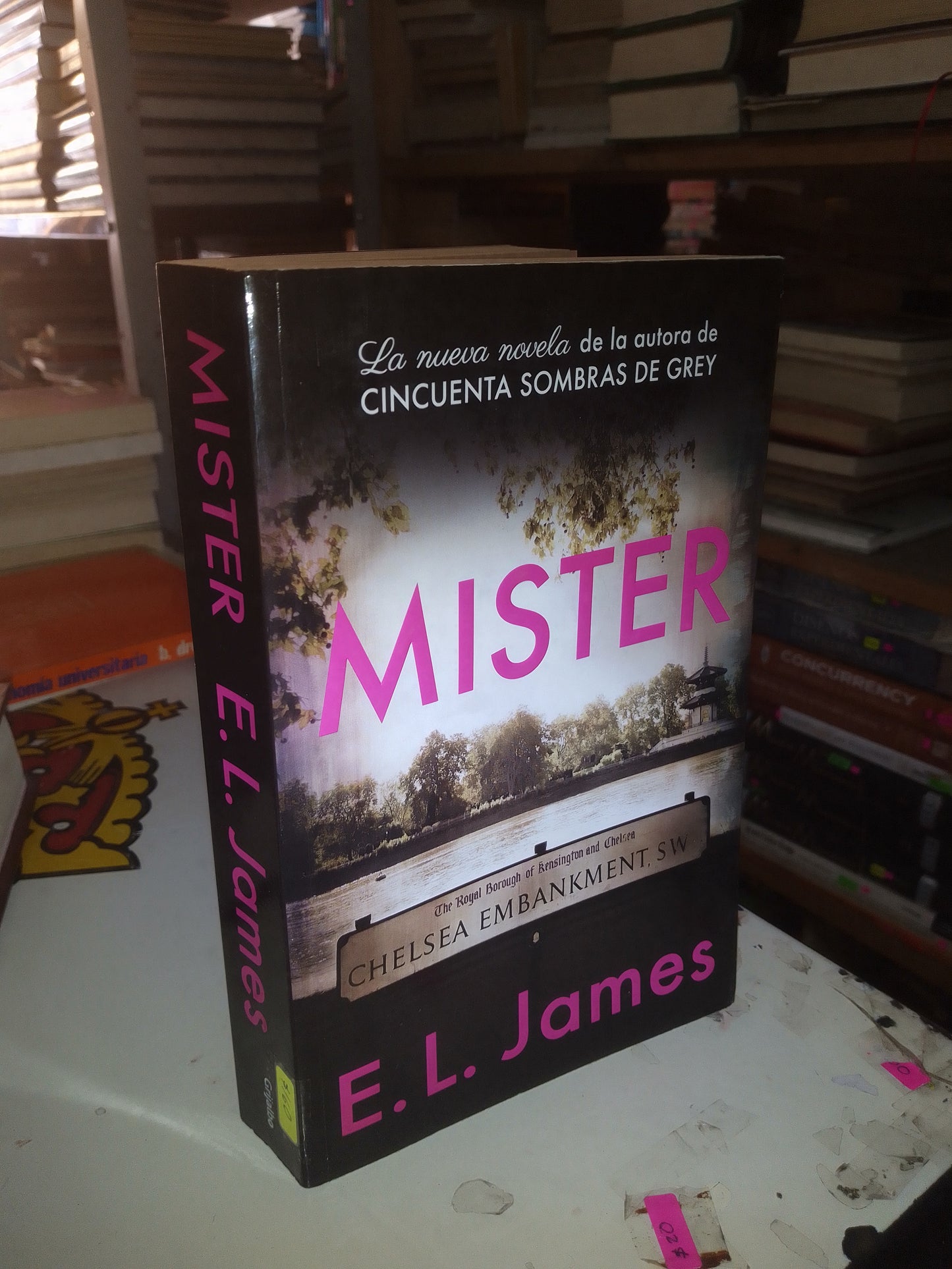 MISTER POR E.L. JAMES USADO NOVELA LITERARIO 207