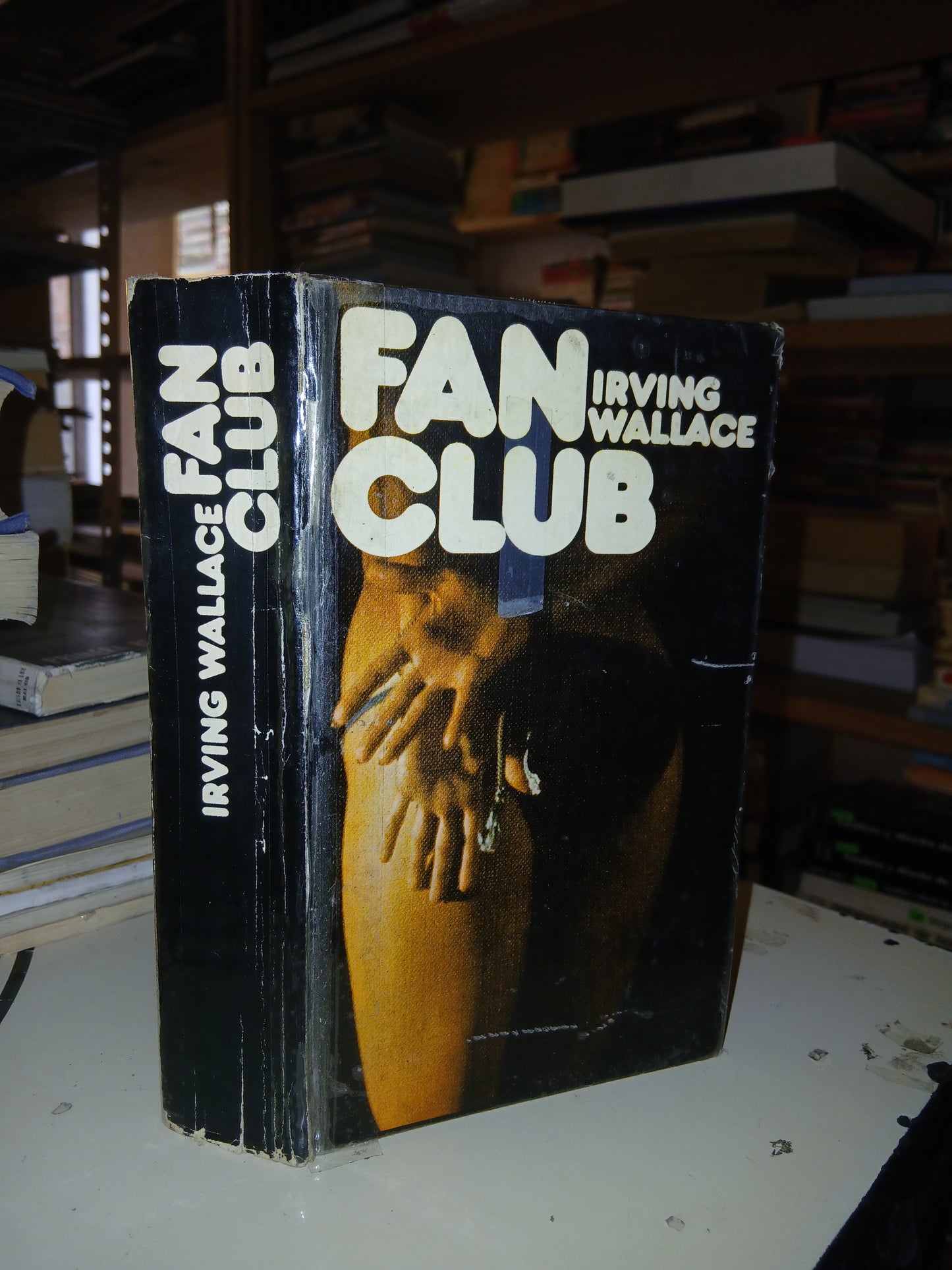 FAN CLUB POR IRVING WALLACE USADO NOVELA LITERARIO 207
