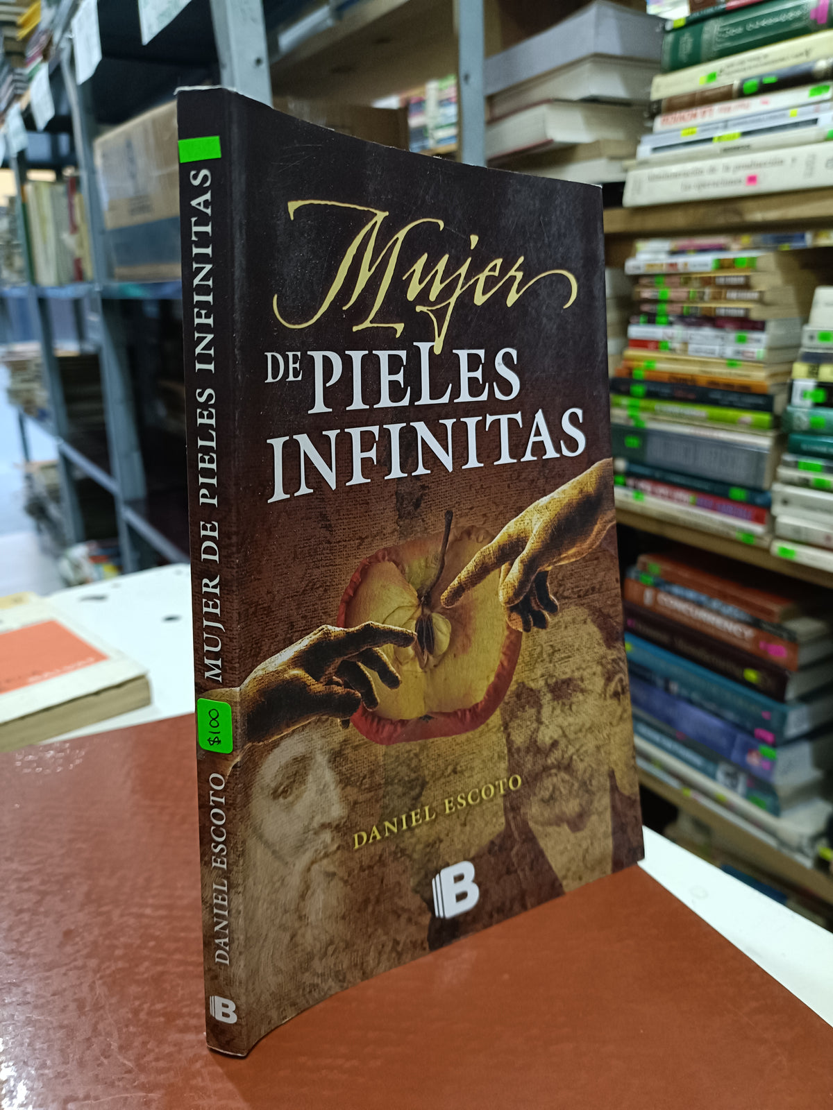MUJERES DE PIELES INFINITAS POR DANIEL ESCOTO USADO NOVELA LITERARIO 207