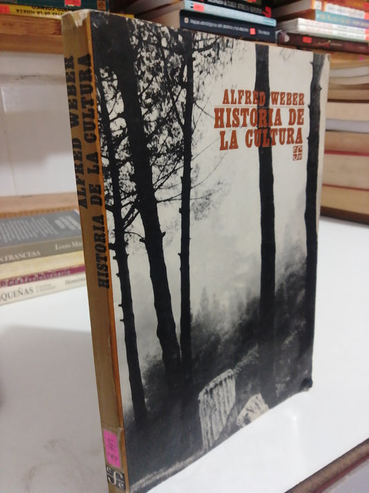 HISTORIA DE LA CULTURA POR ALFRED WEBER USADO HISTORIA JUAREZ