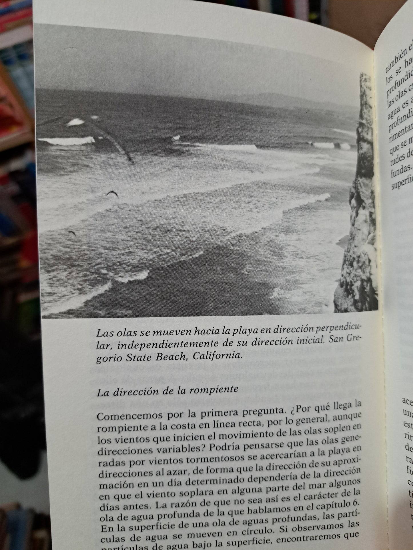 UN CIENTÍFICO A LA ORILLA DEL MAR JAMES TREFIL USADO NOVELA LITERARIO 305