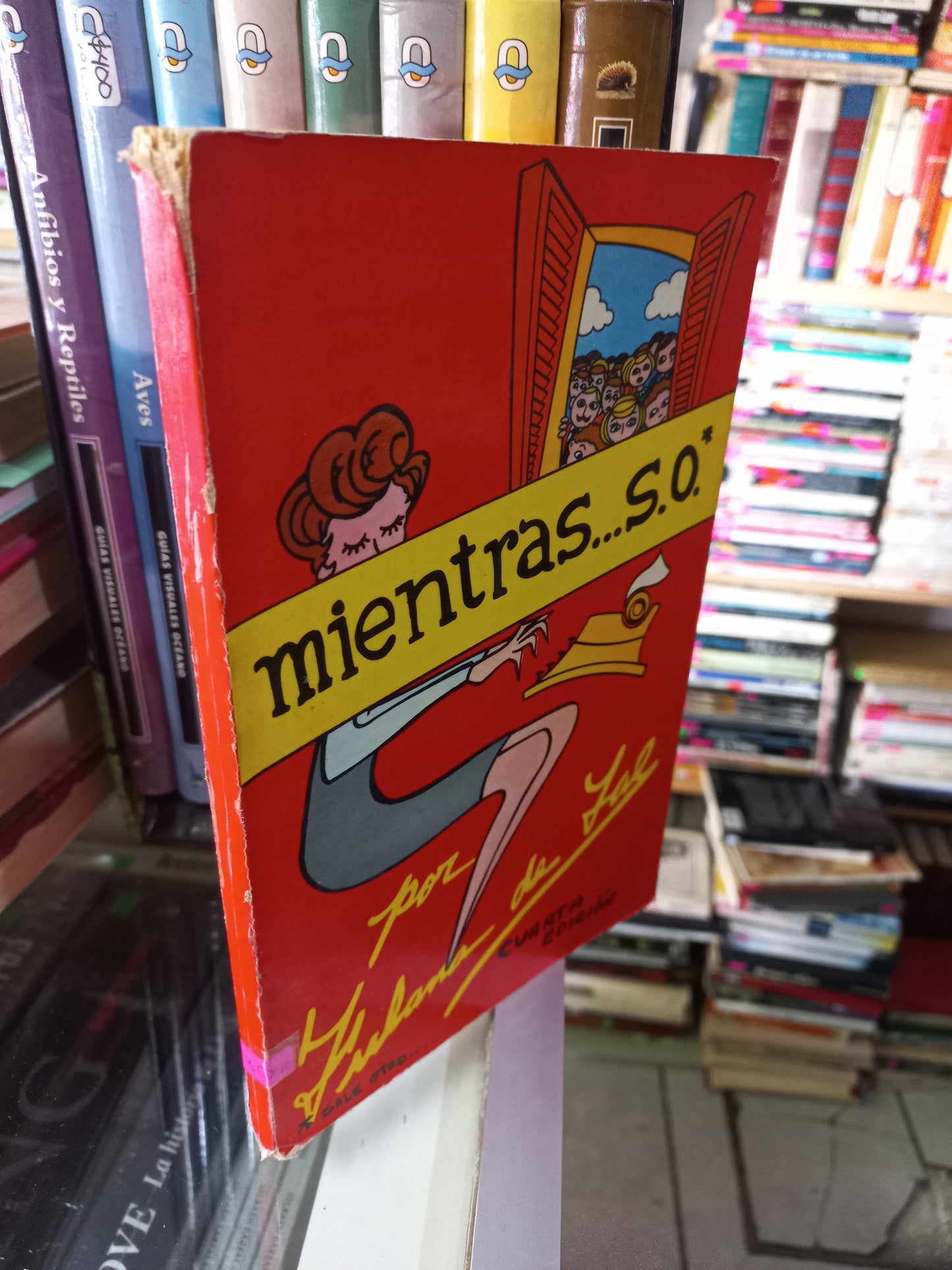 MIENTRAS... S.O. POR FULANA DE TAL USADO NOVELA JUÁREZ