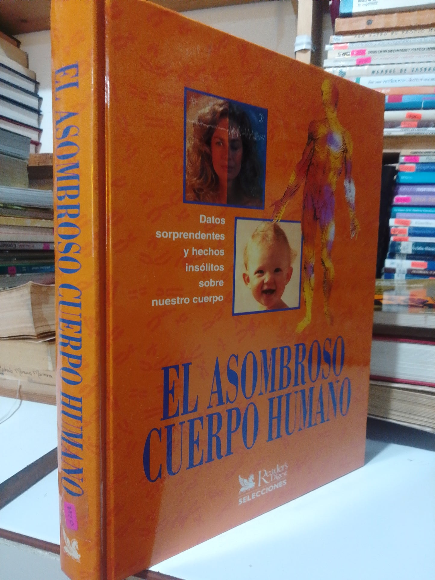 EL ASOMBROS CUERPO HUMANO USADO PSICOLOGIA JUAREZ