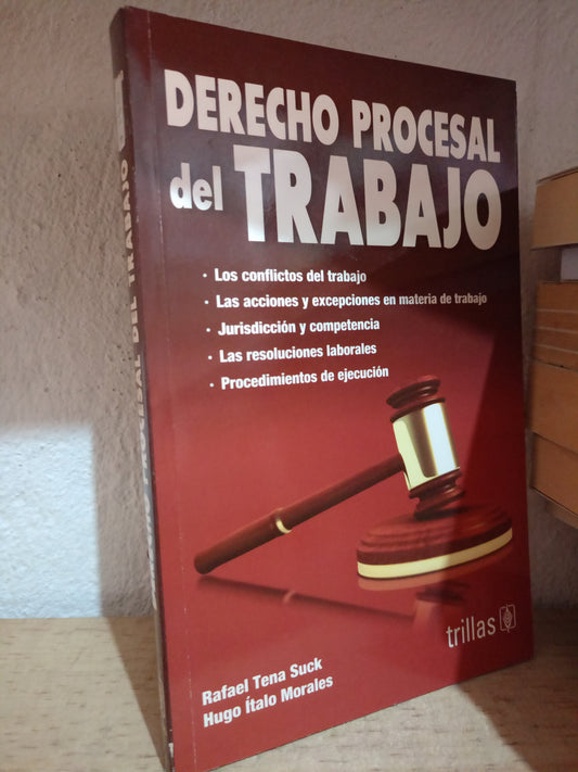 DERECHO PROCESAL DEL TRABAJO POR RAFAEL TENA SUCK HUGO ITALO MORALES USADO DERECHO LITERARIO 305