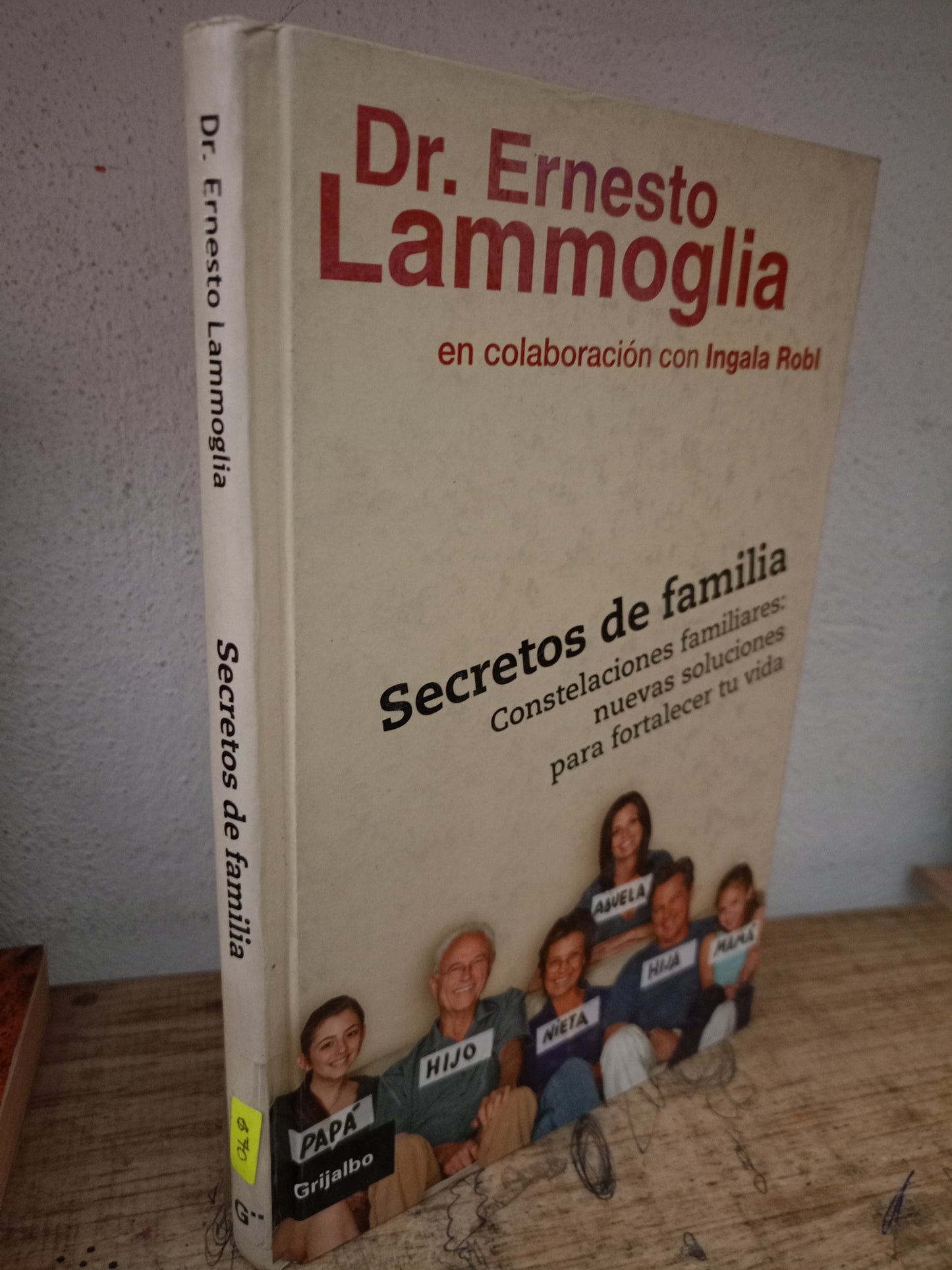 SECRETOS DE FAMILIA CONSTELACIONES FAMILIARES: NUEVAS SOLUCIONES PARA FORTALECER TU VIDA POR ERNESTO LAMMOGLIA E INGALA ROBL USADO PSICOLOGÍA LITERARIO 305