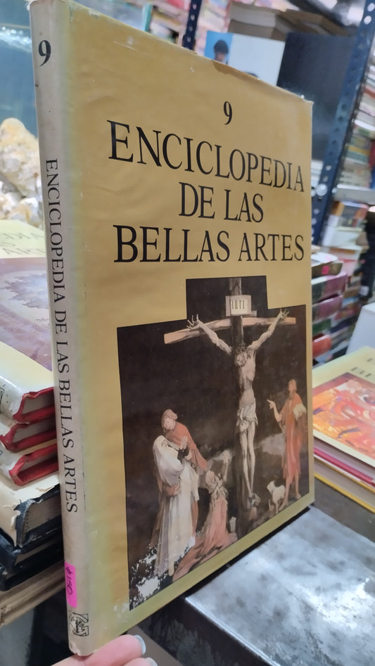 ENCICLOPEDIA DE LAS BELLAS ARTES 9 LIBRO USADO ARTE ALDAMA