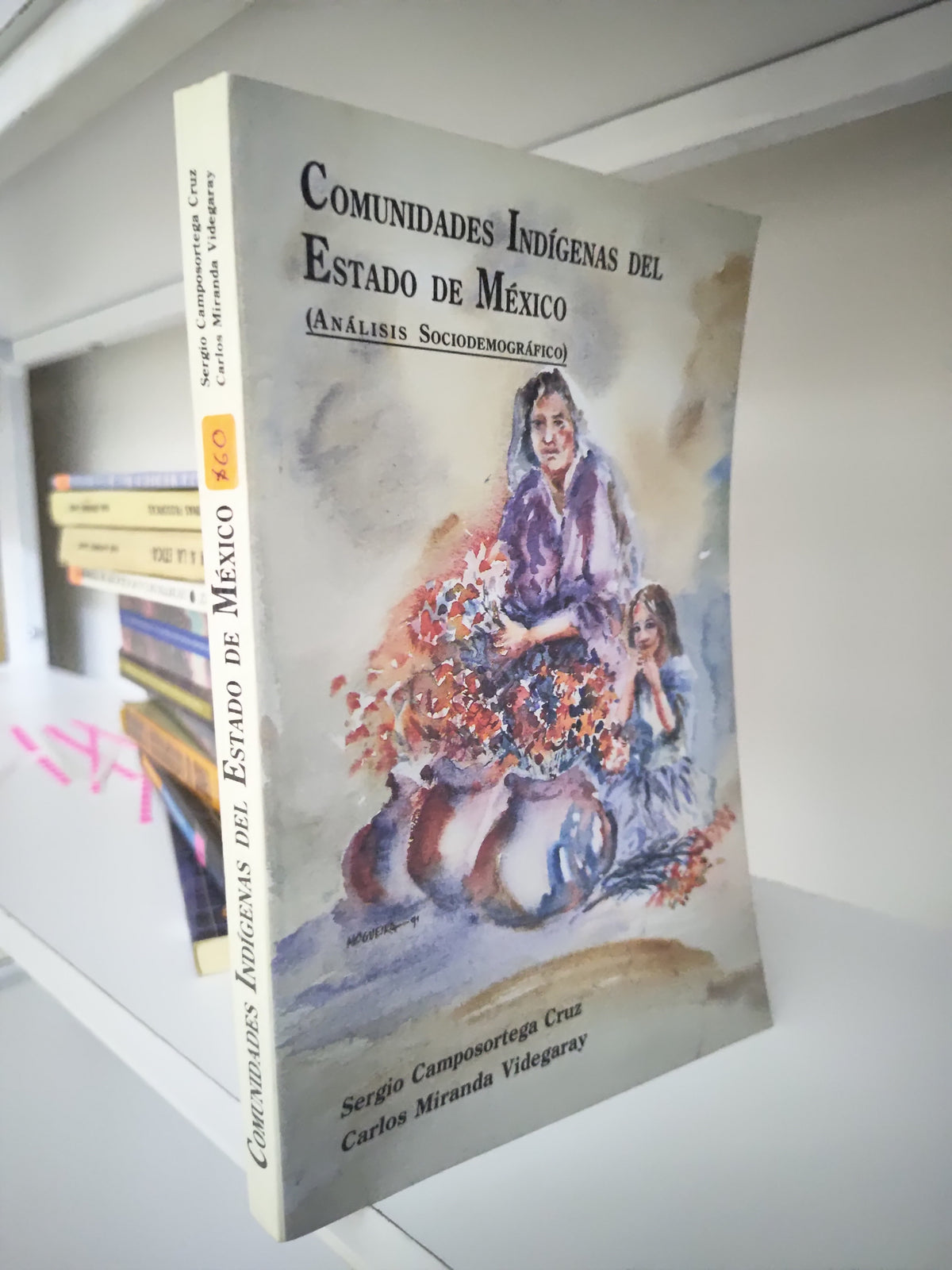 COMUNIDADES INDIGENAS DEL ESTADO DE MEXICO POR SERGIO CAMPOSORTEGA CRUZ USADO SOCIOLOGIA JUAREZ 515
