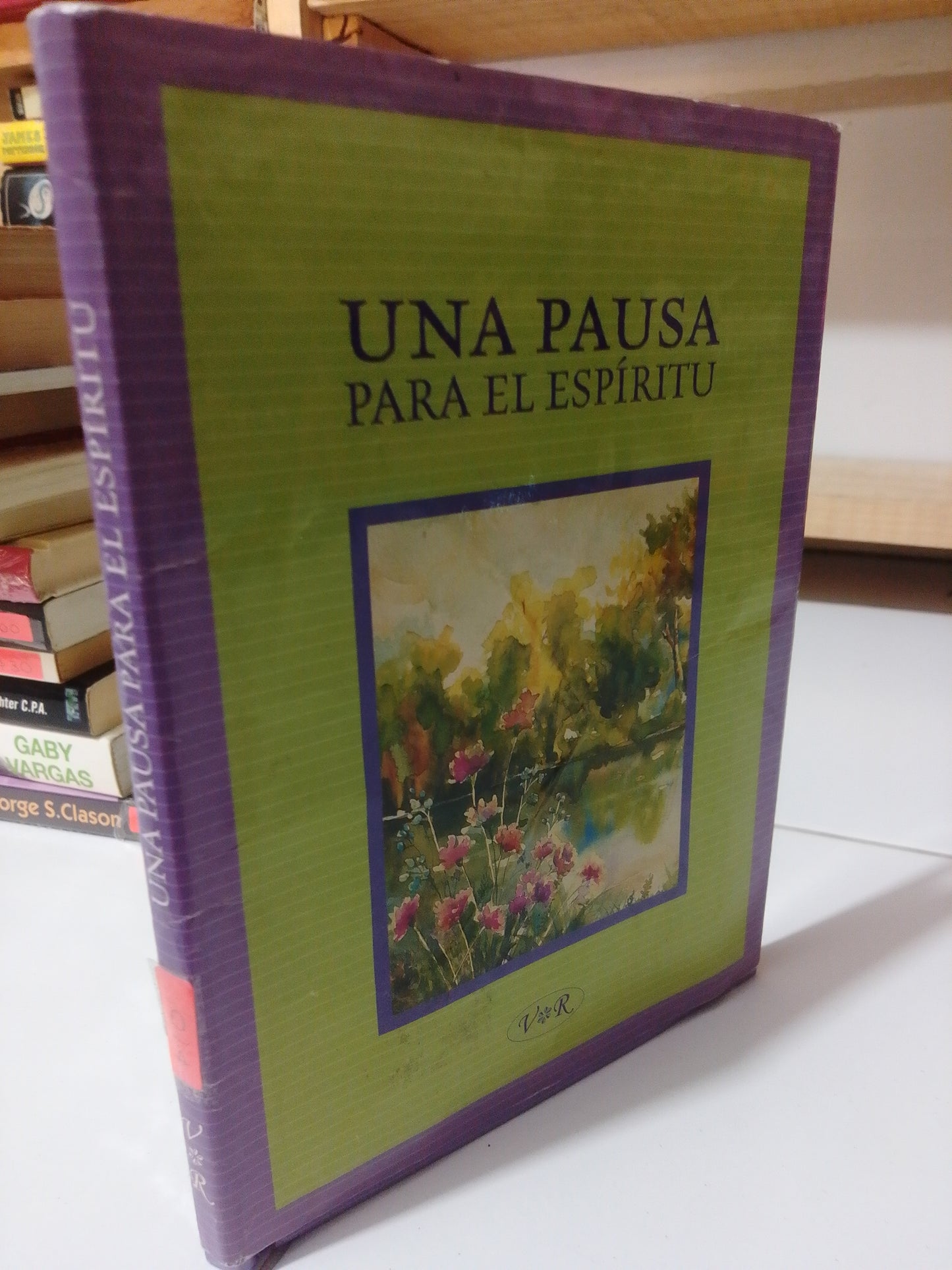 UNA PAUSA PARA EL ESPÍRITU POR LIDIA MARIA RIBA USADO NOVELA JUÁREZ
