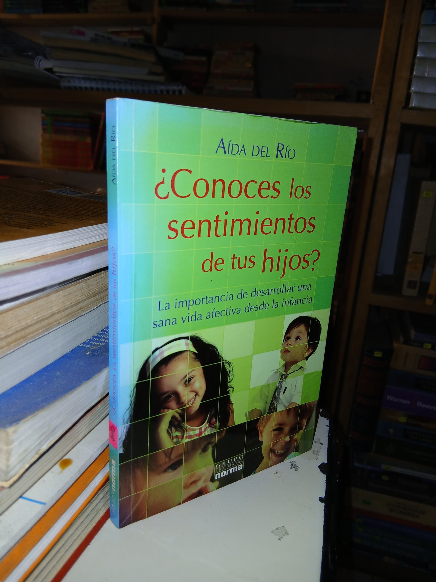 ¿CONOCES LOS SENTIMIENTOS DE TUS HIJOS? POR AÍDA DEL RÍO USADO SUPERACIÓN PERSONAL LITERARIO 207
