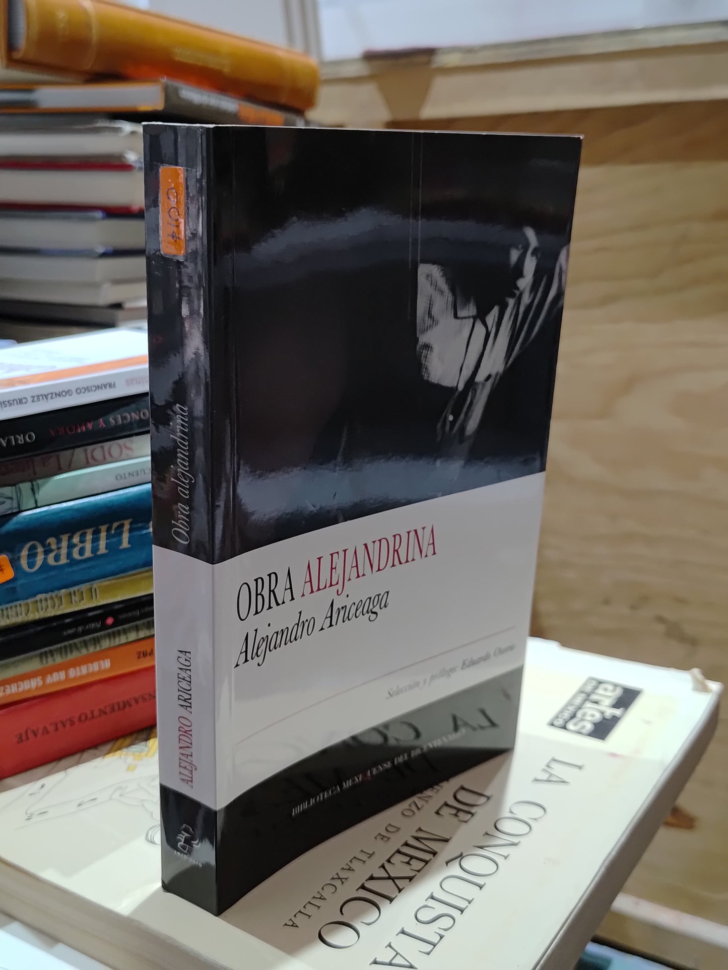 OBRA ALEJANDRINA PIR ALEJANDRO ARCIEGA USADO NOVELAS JUAREZ 515