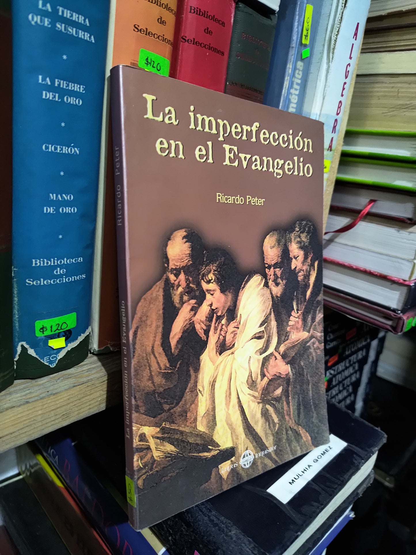 LA IMPERFECCION EN EL EVANGELIO POR RICARDO PETER USADO RELIGION JUAREZ 507