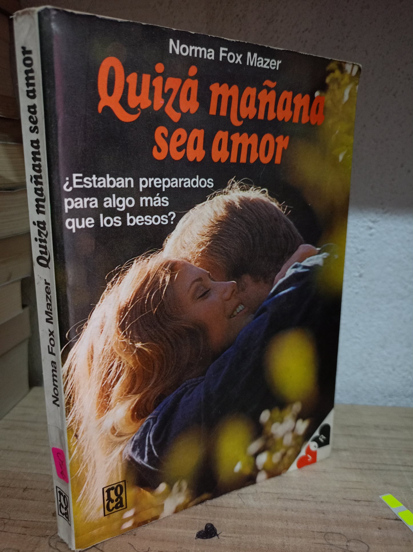 QUIZA MAÑANA SEA AMOR POR NORMA FOX MAZER S.PERSONAL LITERARIO 305