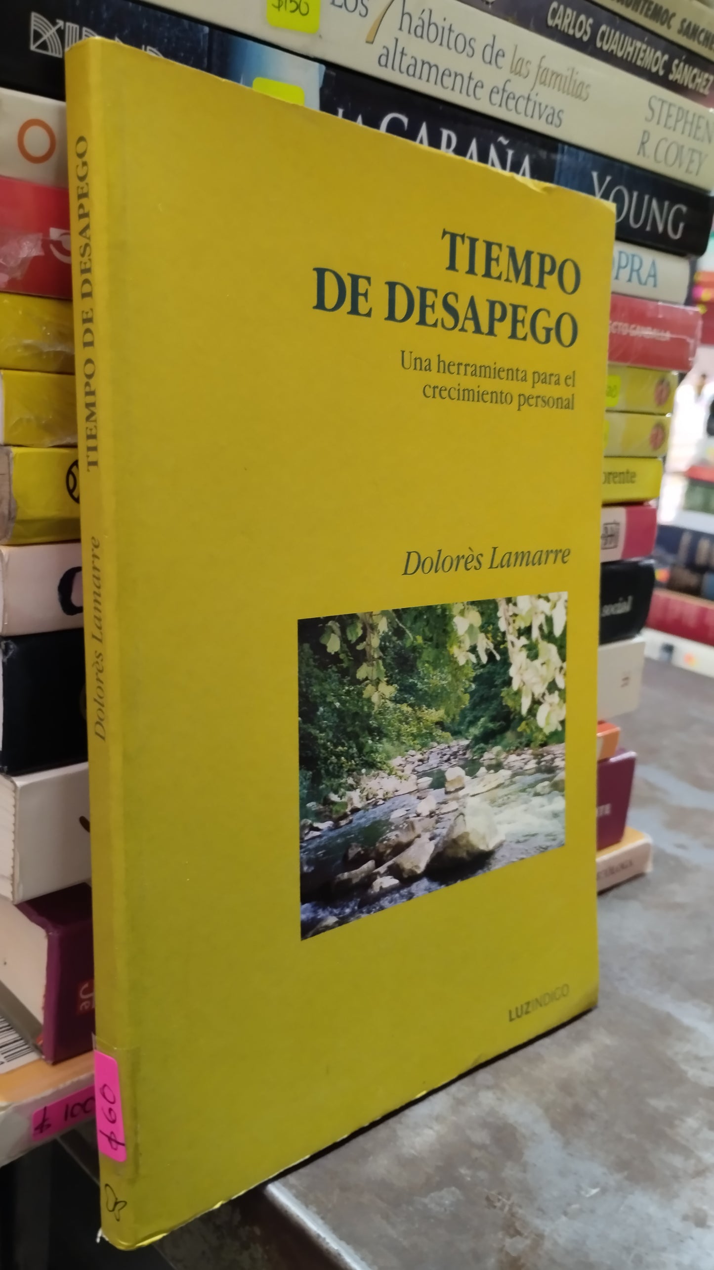 TIEMPO DE DESAPEGO POR DOLORES LAMARRE LIBRO USADO SUPERACION PERSONAL ALDAMA