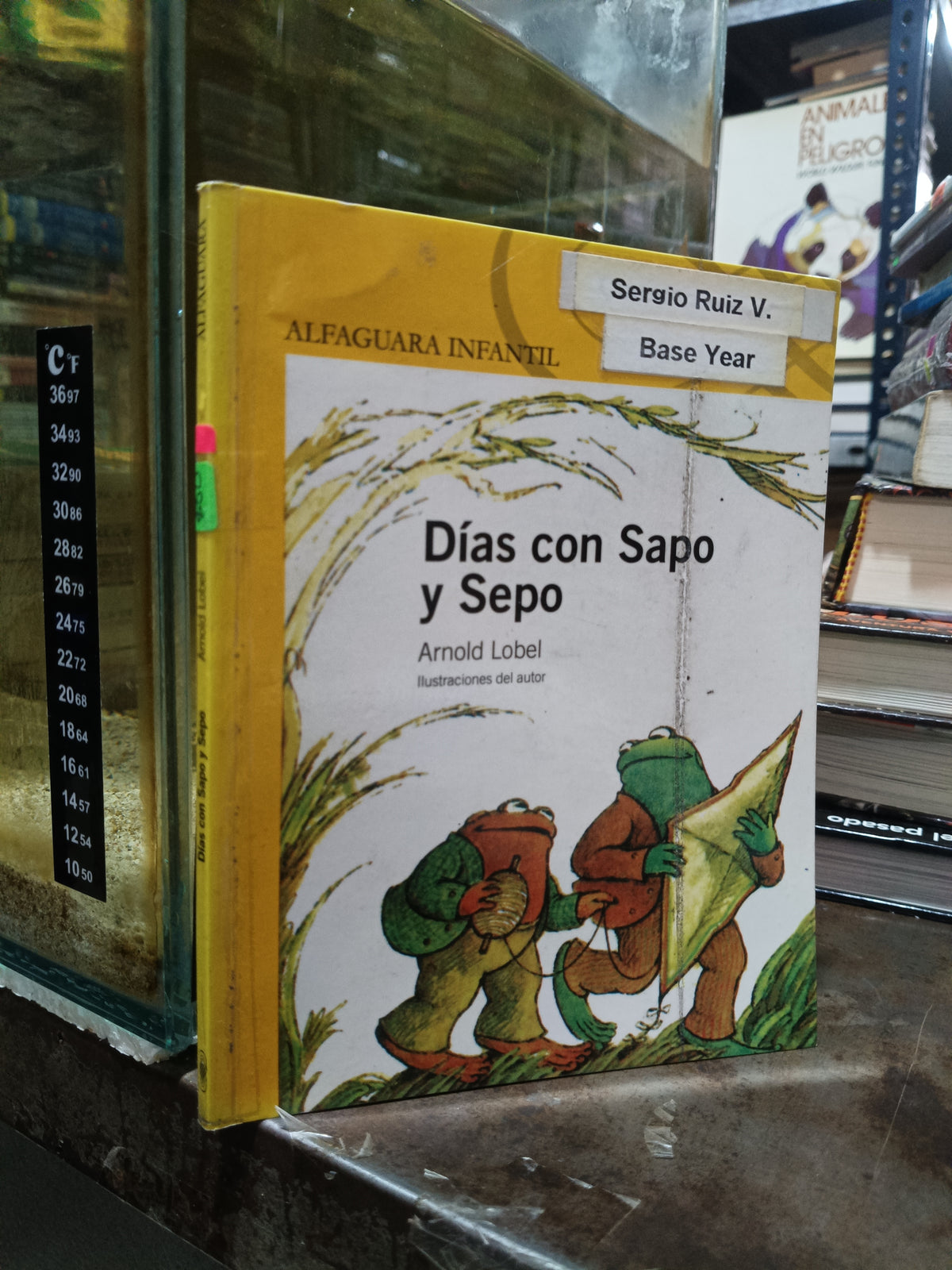 DÍAS CON SAPO Y SEPO POR ARNOLD LOBEL USADO INFANTIL ALDAMA
