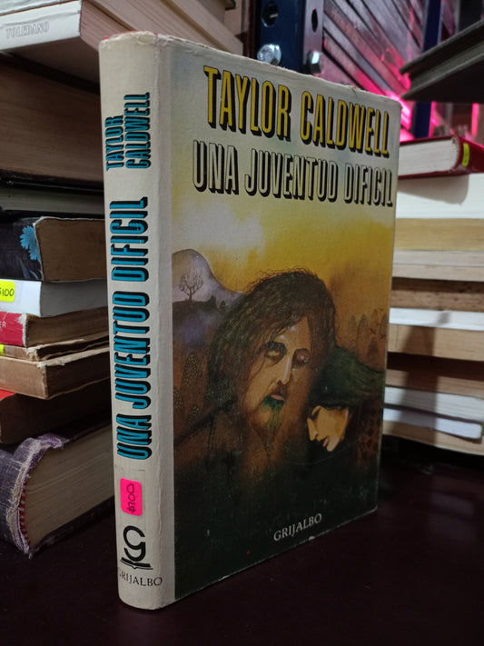 UNA JUVENTUD DIFICIL TAYLOR CALDEELL USADO NOVELA LITERARIO 305