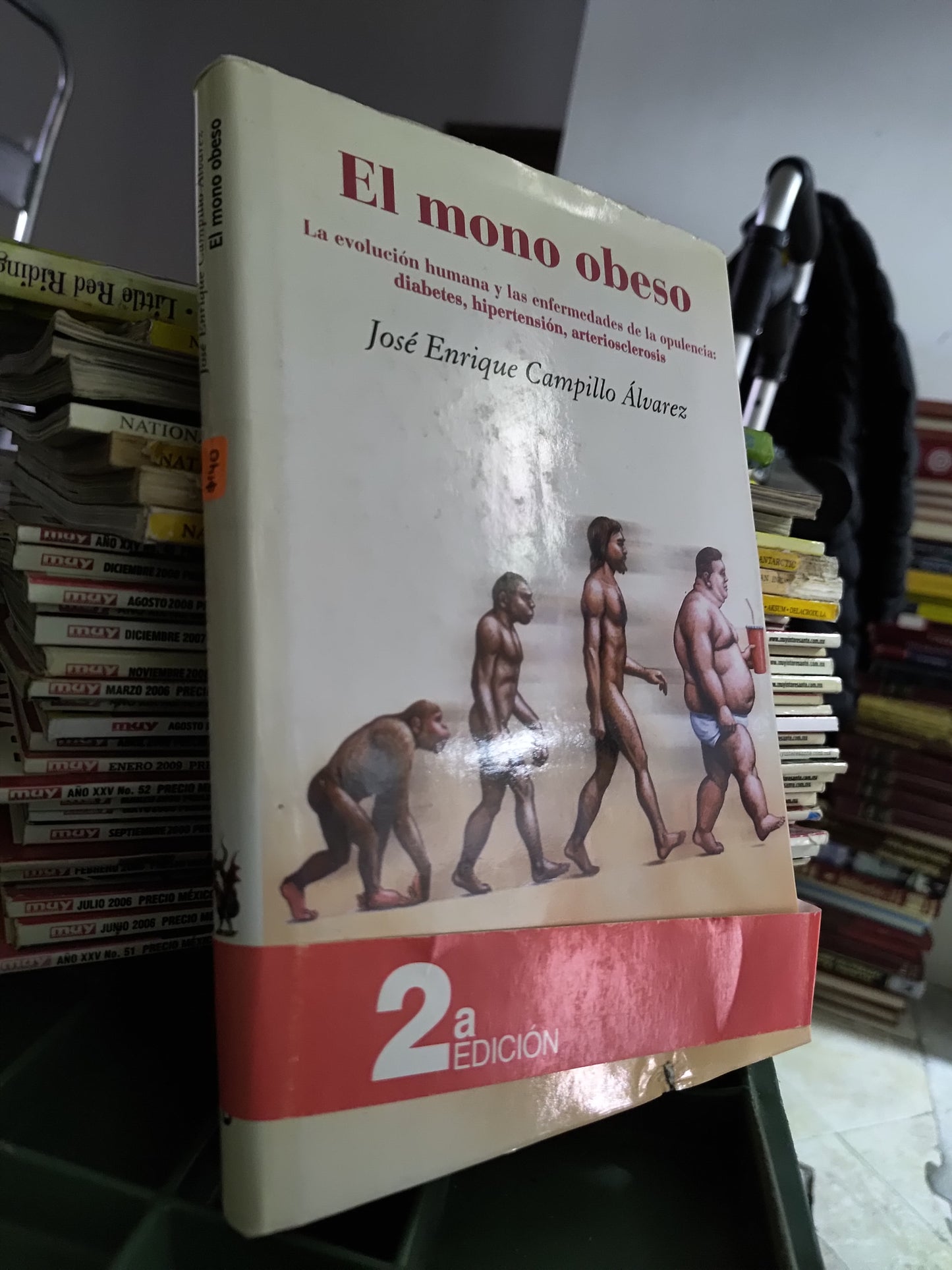 EL MONO OBESO POR JOSE ENRIQUE CAMPILLO ALVAREZ USADO CIENCIAS JUAREZ 515