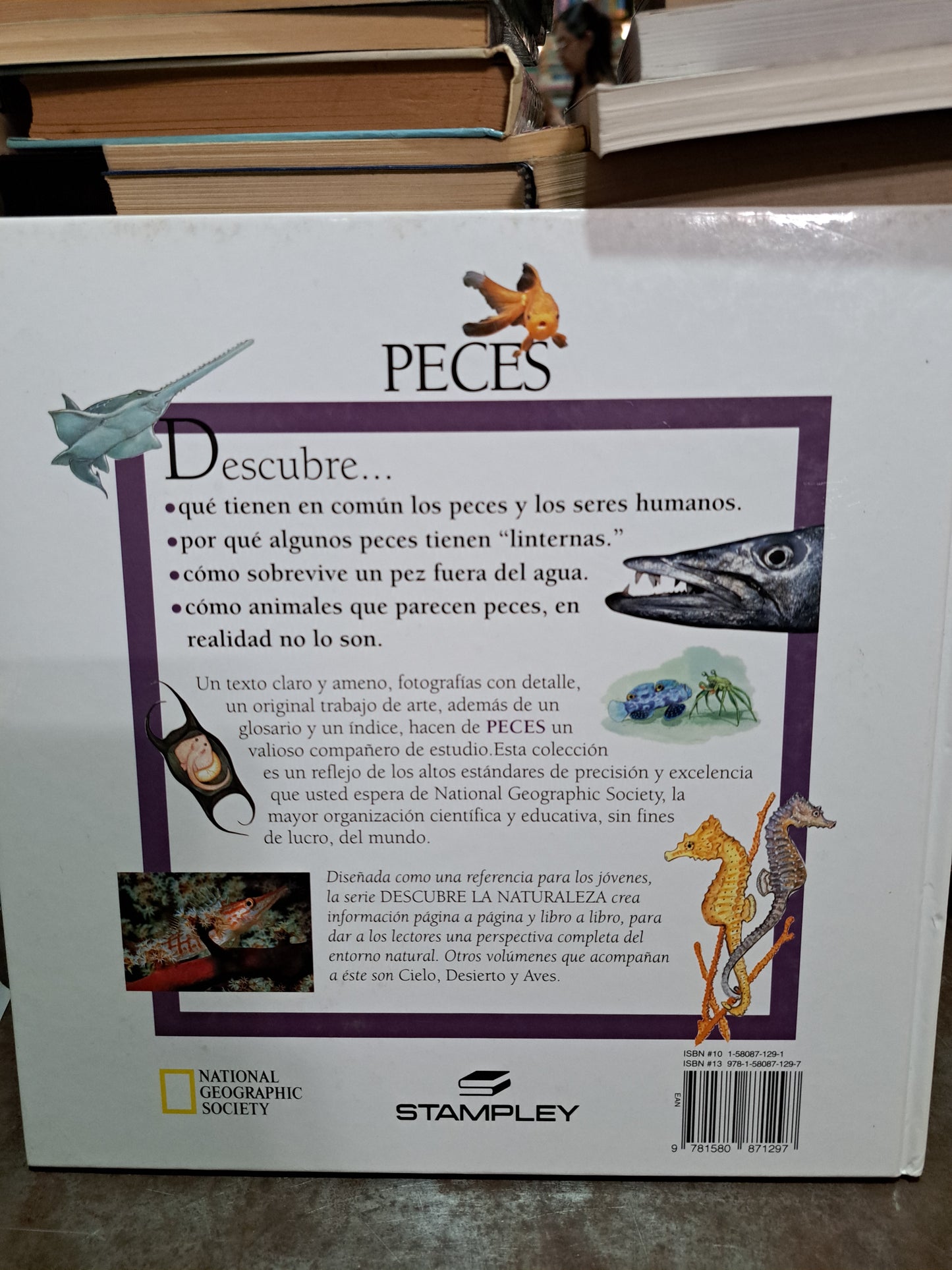 DESCUBRE LA NATURALEZA PECES ELIZABETH SCHLEICHERT USADO INFANTIL ALDAMA