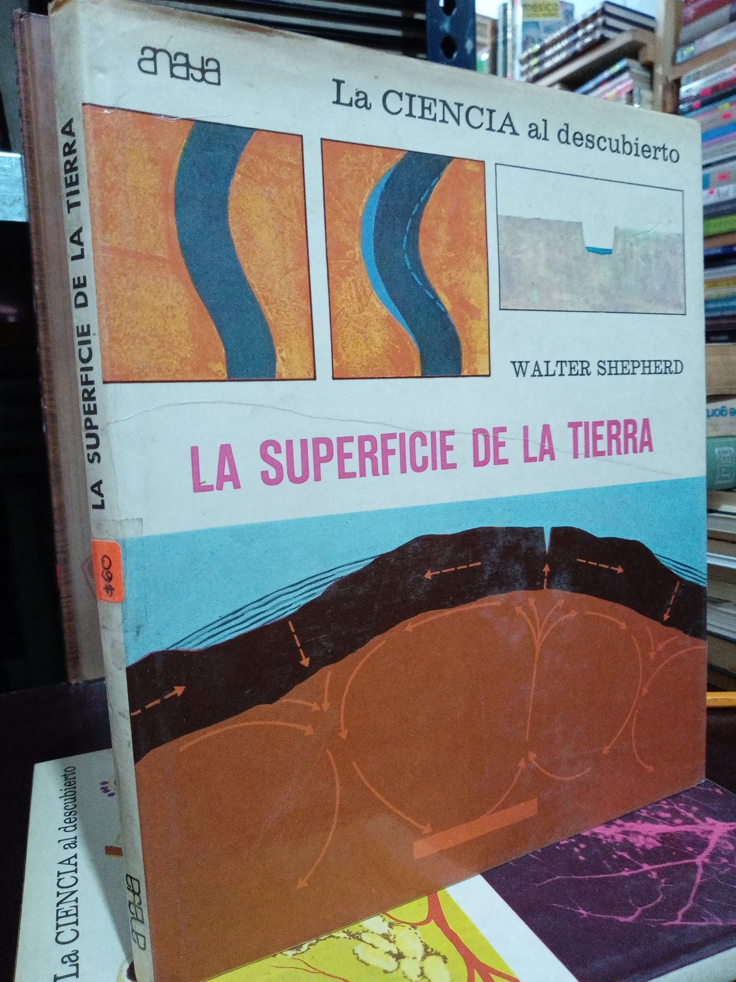 LA CIENCIA AL DESCUBIERTO USADO CIENCIA LITERARIO 305