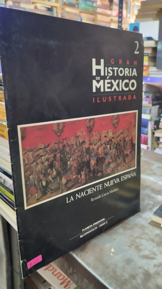 GRAN HISTORIA DE MEXICO ILUSTRADA 2 LIBRO USADO HISTORIA ALDAMA