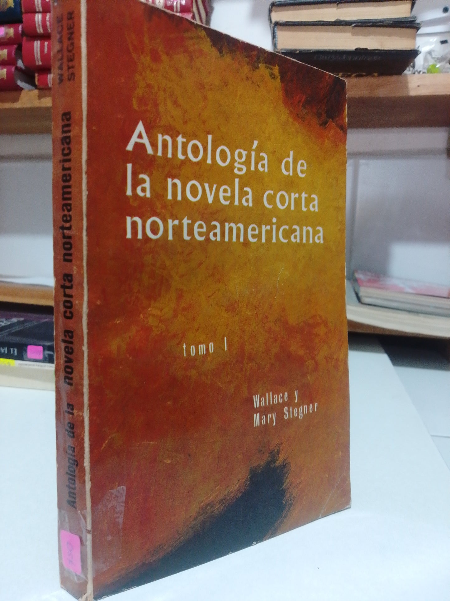 ANTOLOGIA DE NOVELA CORTA NORTEAMERICANA POR WALLECE Y MARY STENGER USADO NOVELA JUAREZ