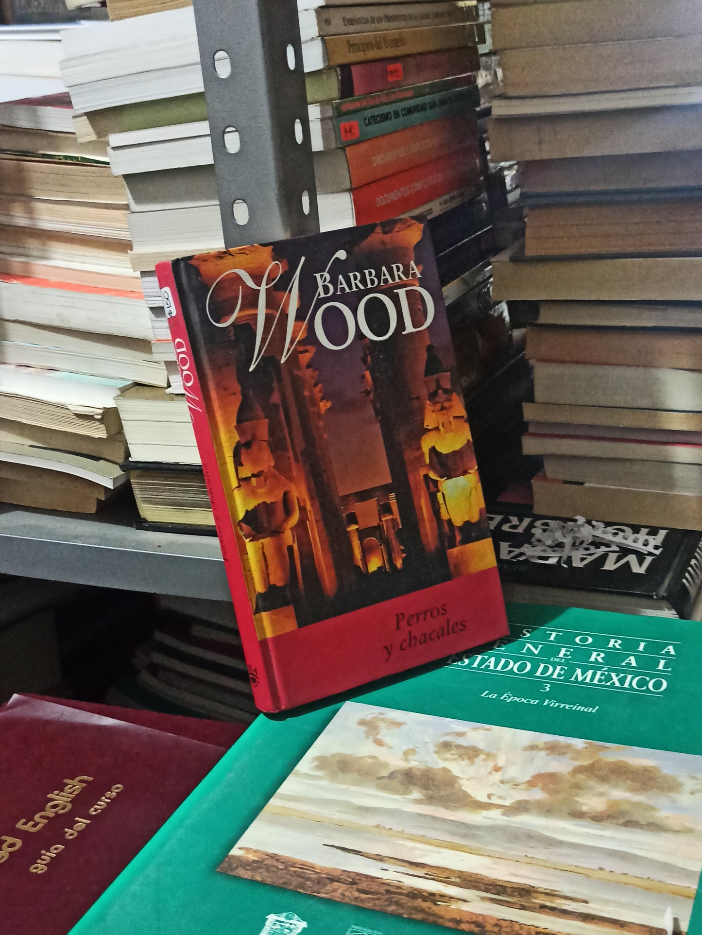 PERROS Y CHACALES POR BÁRBARA WOOD USADO NOVELAS JUÁREZ