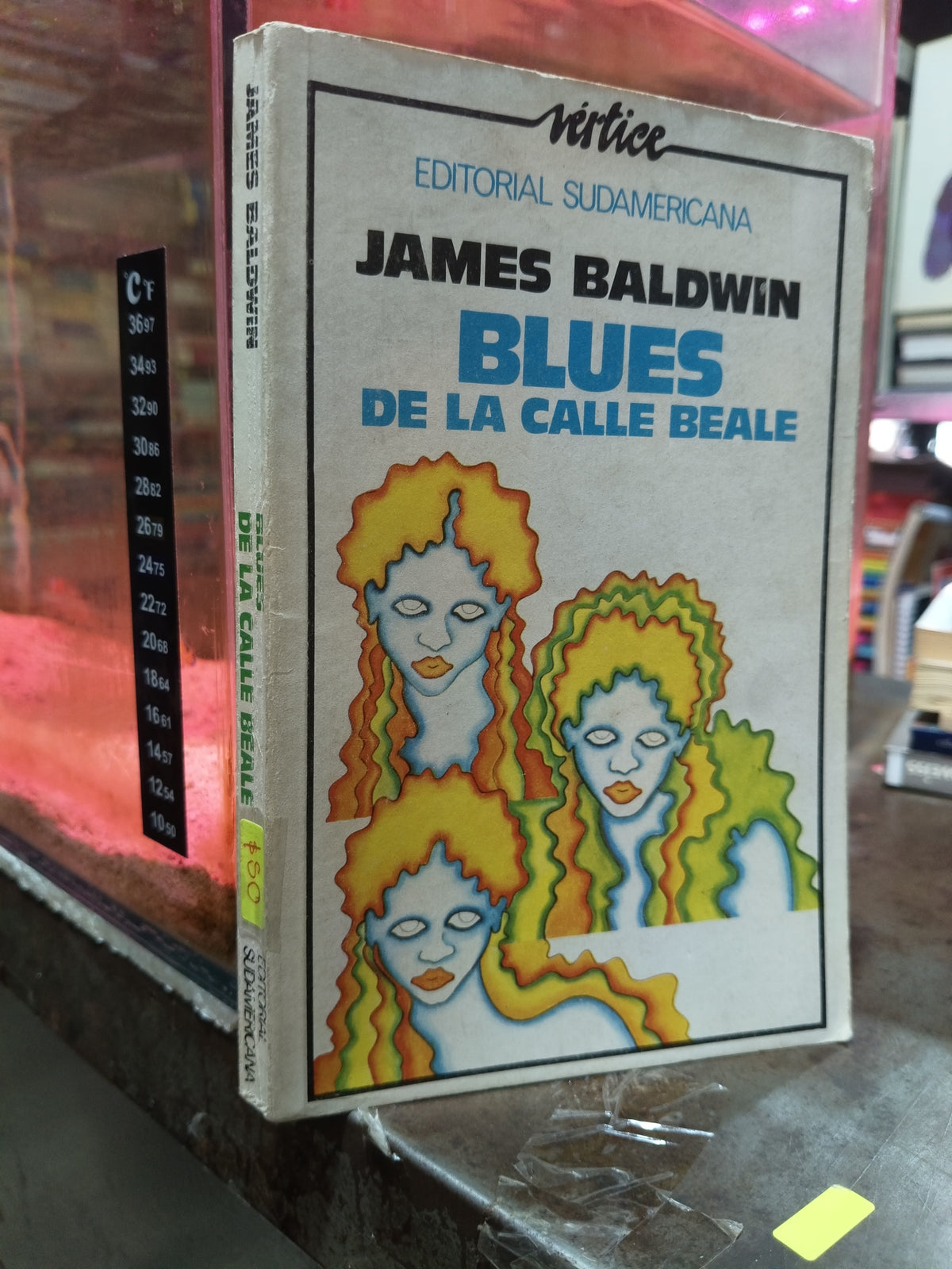 BLUES DE LA CALLE BEALE POR JAMES BALDWIN USADO NOVELA ALDAMA