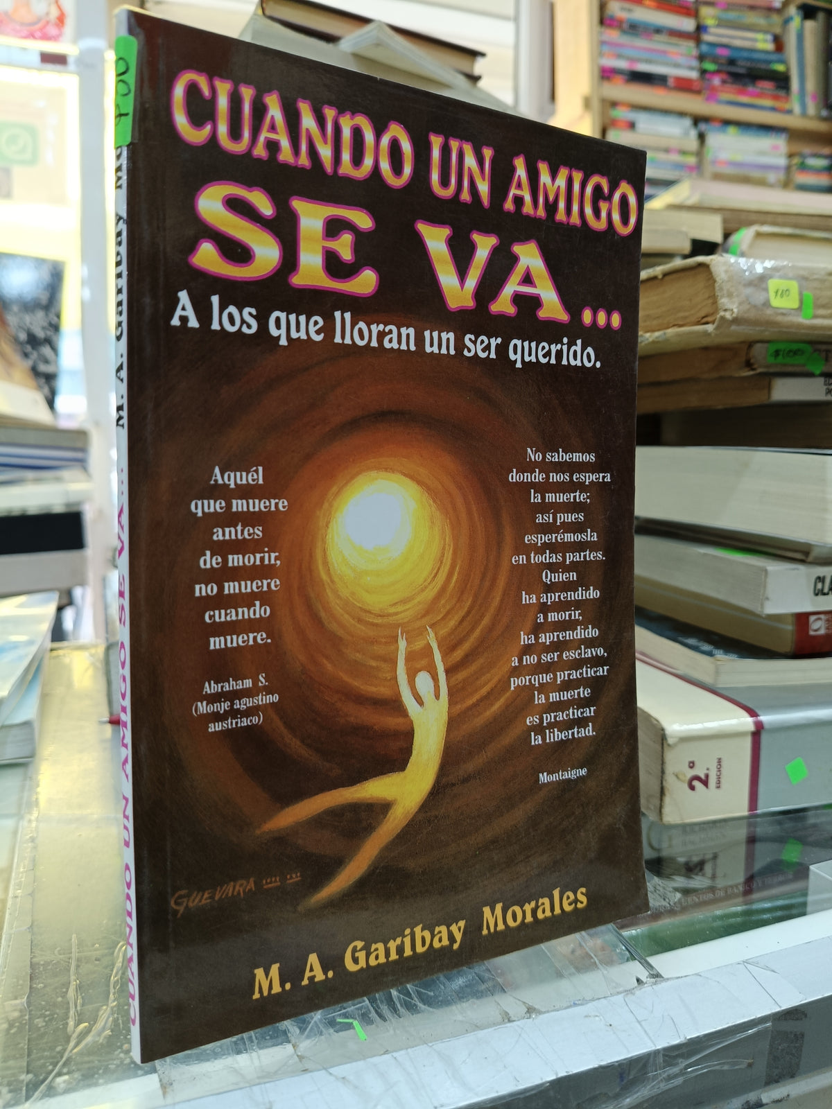 CUANDO UN AMIGO SE VA POR GARIBAY MORALES USADO S.PERSONAL JUÁREZ 507