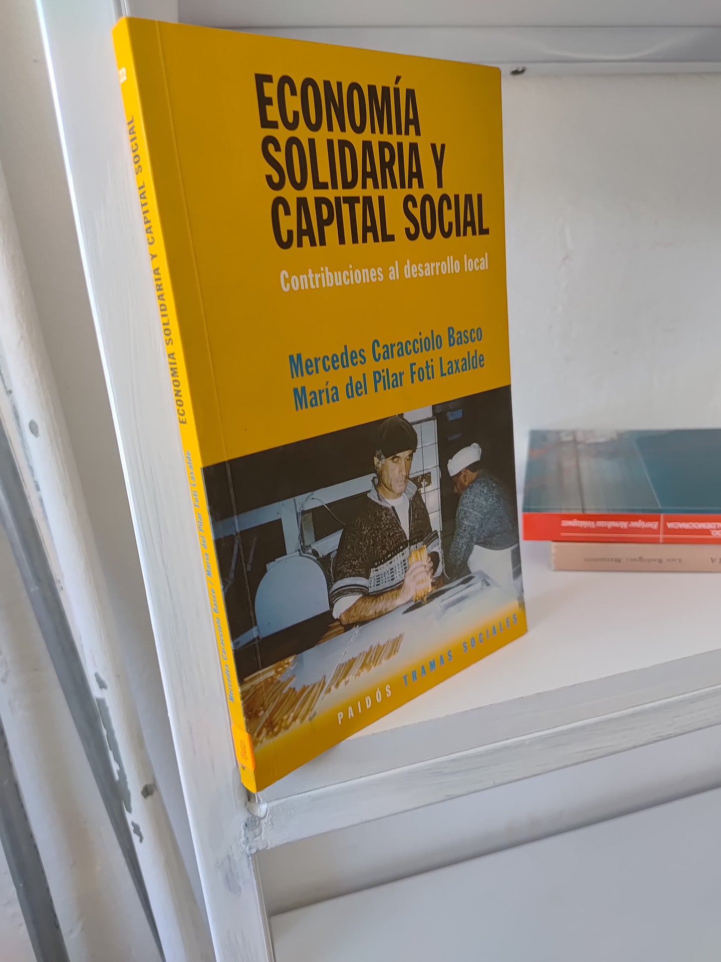 ECONOMIA SOLIDARIA Y CAPITAL SOCIAL POR MERCEDES CARACCIOLO BASCO USADO SOCIOLOGIA JUAREZ 515