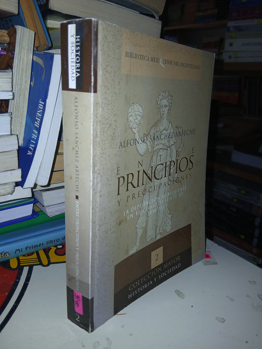 ENTRE PRINCIPIOS Y PREOCUPACIONES POR ALFONSO SÁNCHEZ ARTECHE USADO DERECHO LITERARIO 207