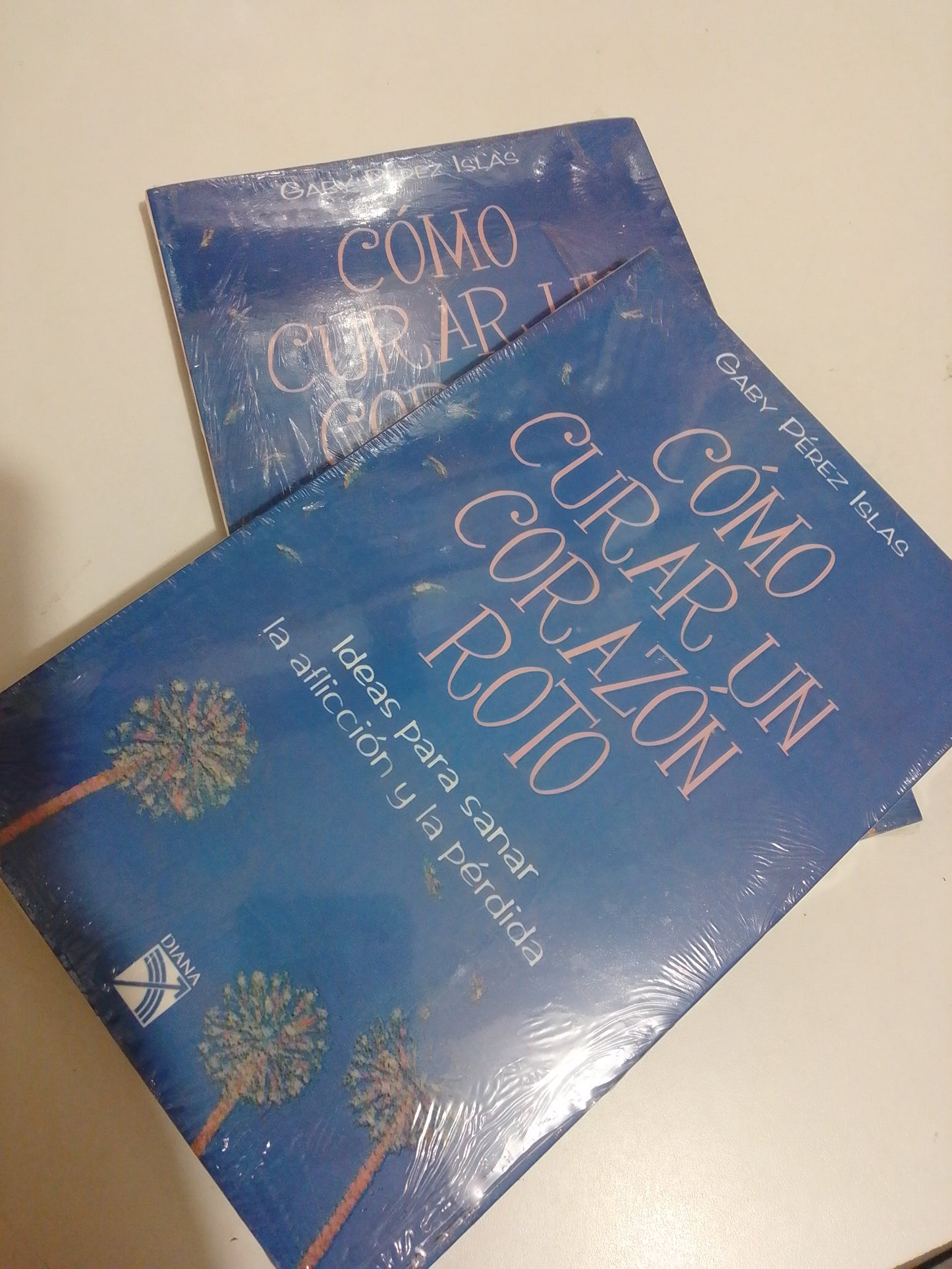 COMO CURAR UN CORAZON ROTO POR GABY PEREZ ISLAS NUEVO JUAREZ
