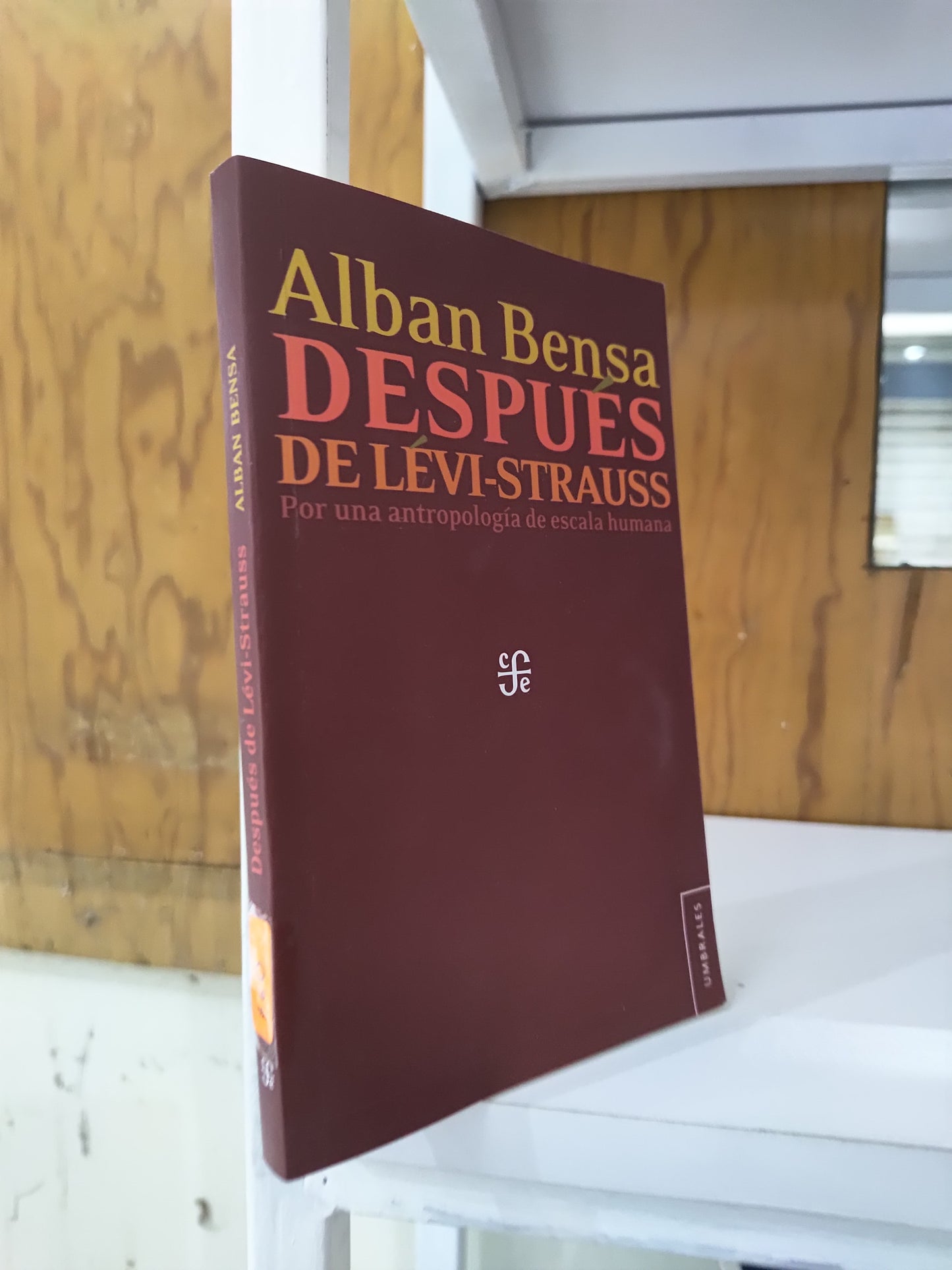 DESPUES DE LEVI STRAUSS POR ALBAN BENSA USADO HISTORIA JUAREZ 515