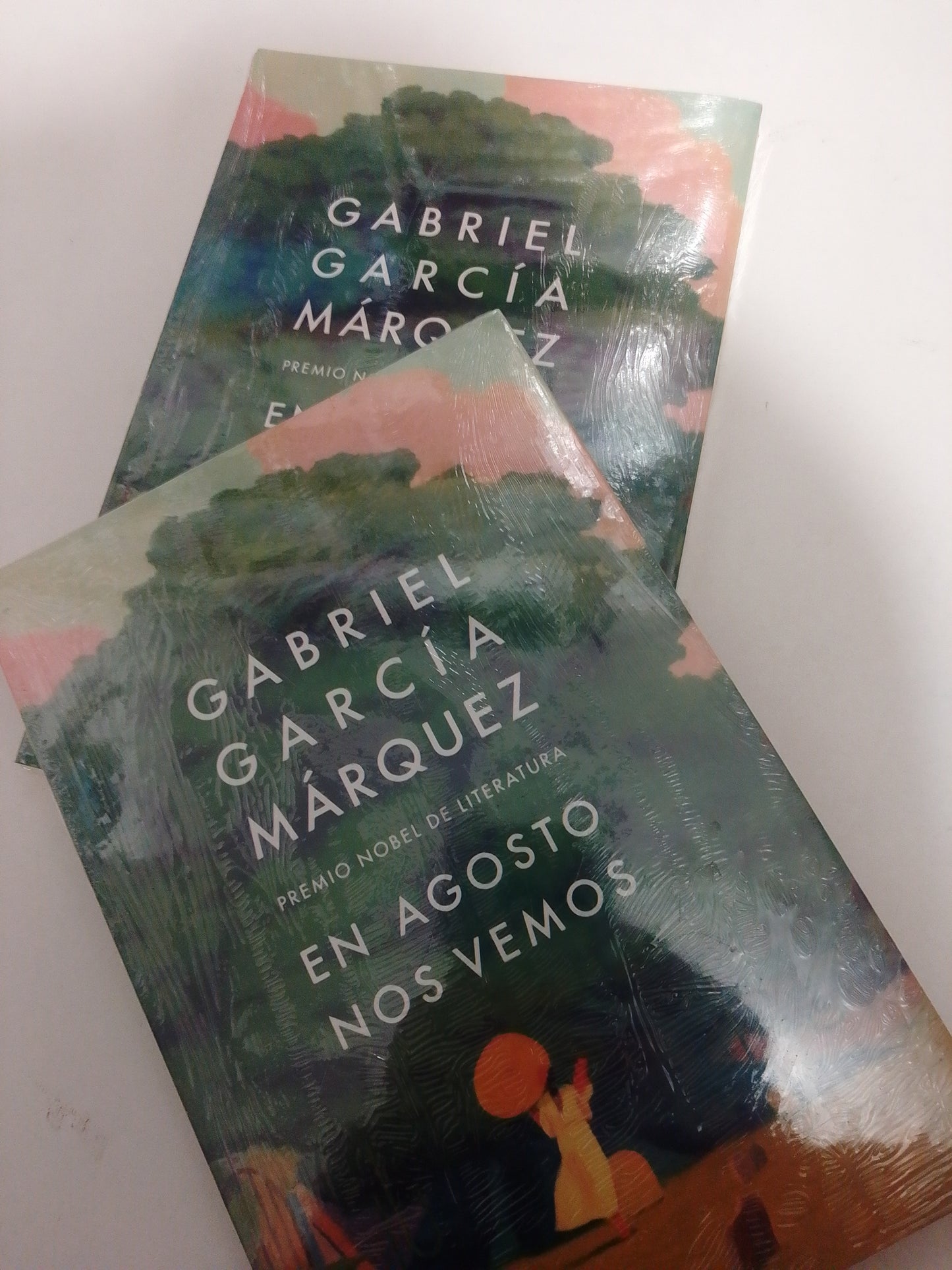 EN AGOSTO NOS VEMOS POR GABRIEL GARCIA MARQUEZ NUEVO JUAREZ