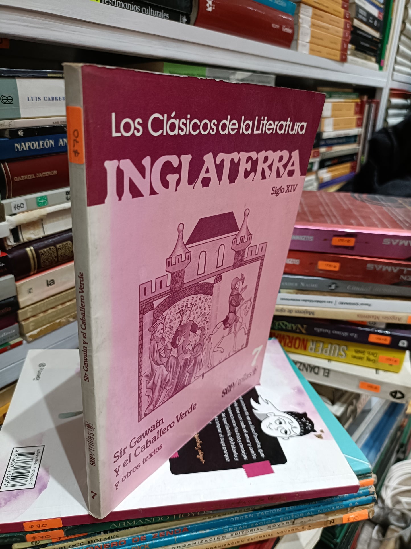 LOS CLASICOS DE LA LITERATURA INGLATERRA SIGLO XIV SIR GAWAIN Y EL CABALLERO VERDE Y OTROS TEXTOS 7 USADOS NOVELAS JUAREZ 515