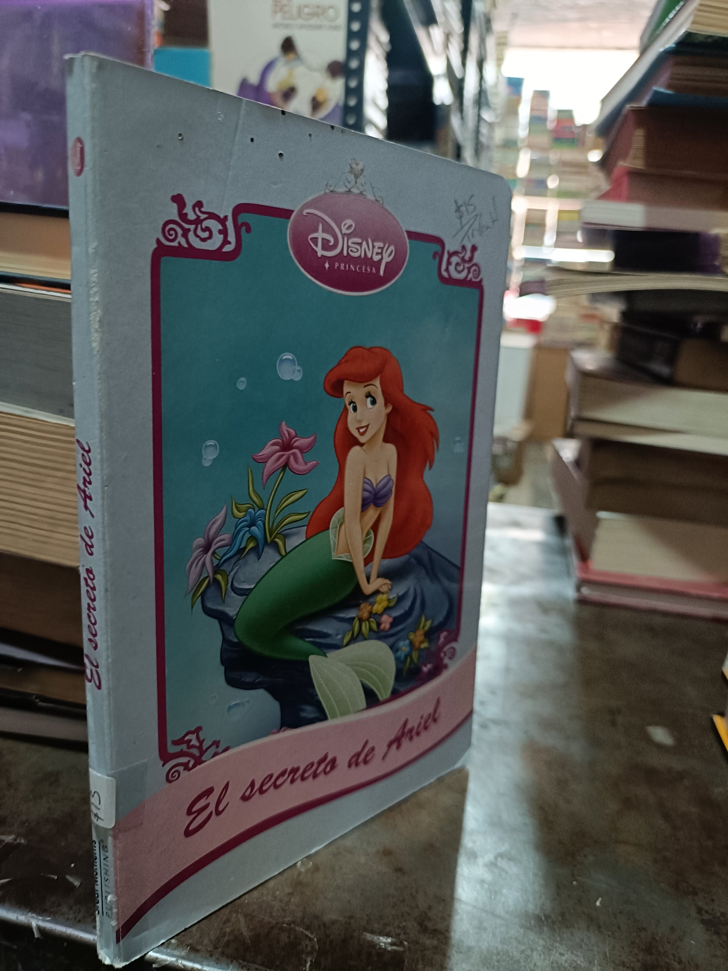 EL SECRETO DE ARIEL USADO INFANTIL ALDAMA