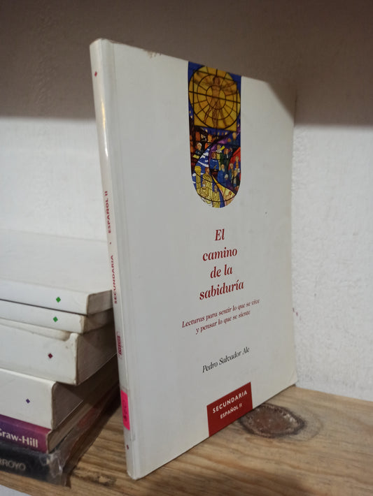 EL CAMINO DE LA SABIDURIA ESPAÑOL 2 POR PEDRO SALVADOR ALE USADO FILOSOFÍA JUÁREZ
