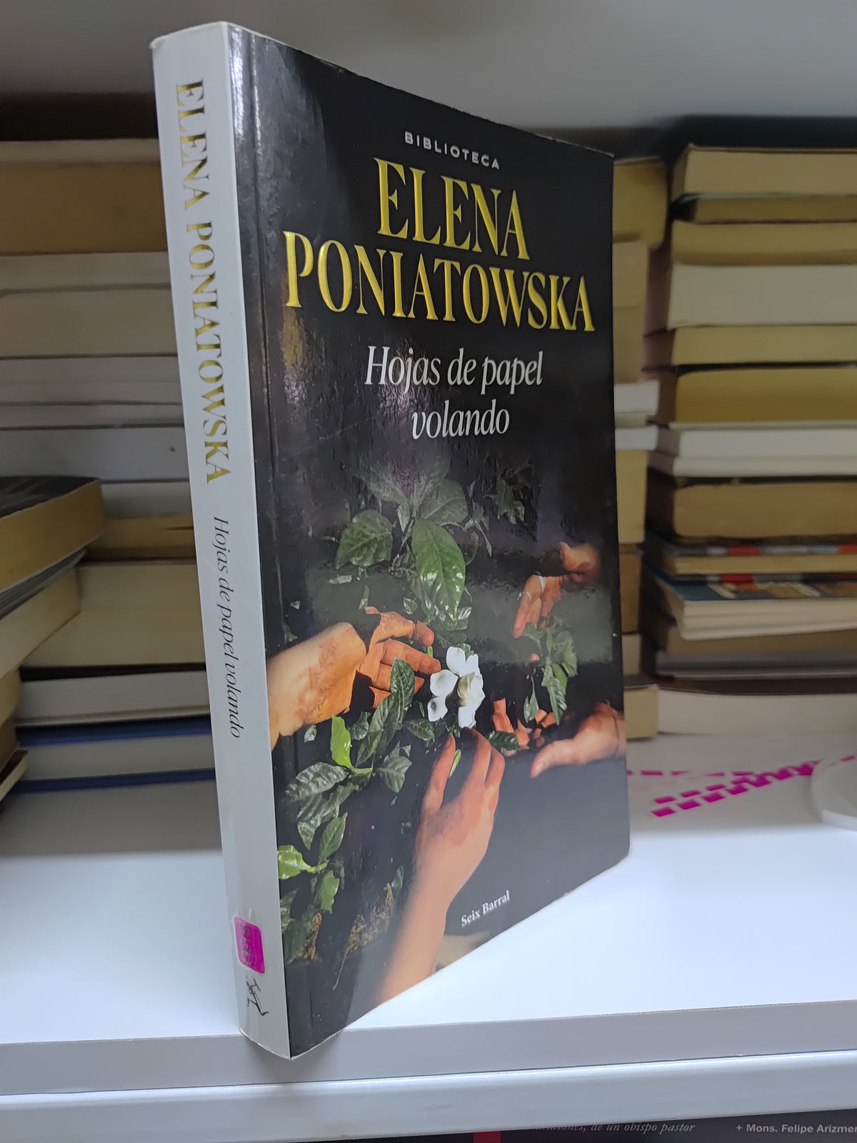 HOJAS DE PAPEL VOLANDO POR ELENA PONIATOWSKA USADO NOVELAS JUAREZ 515