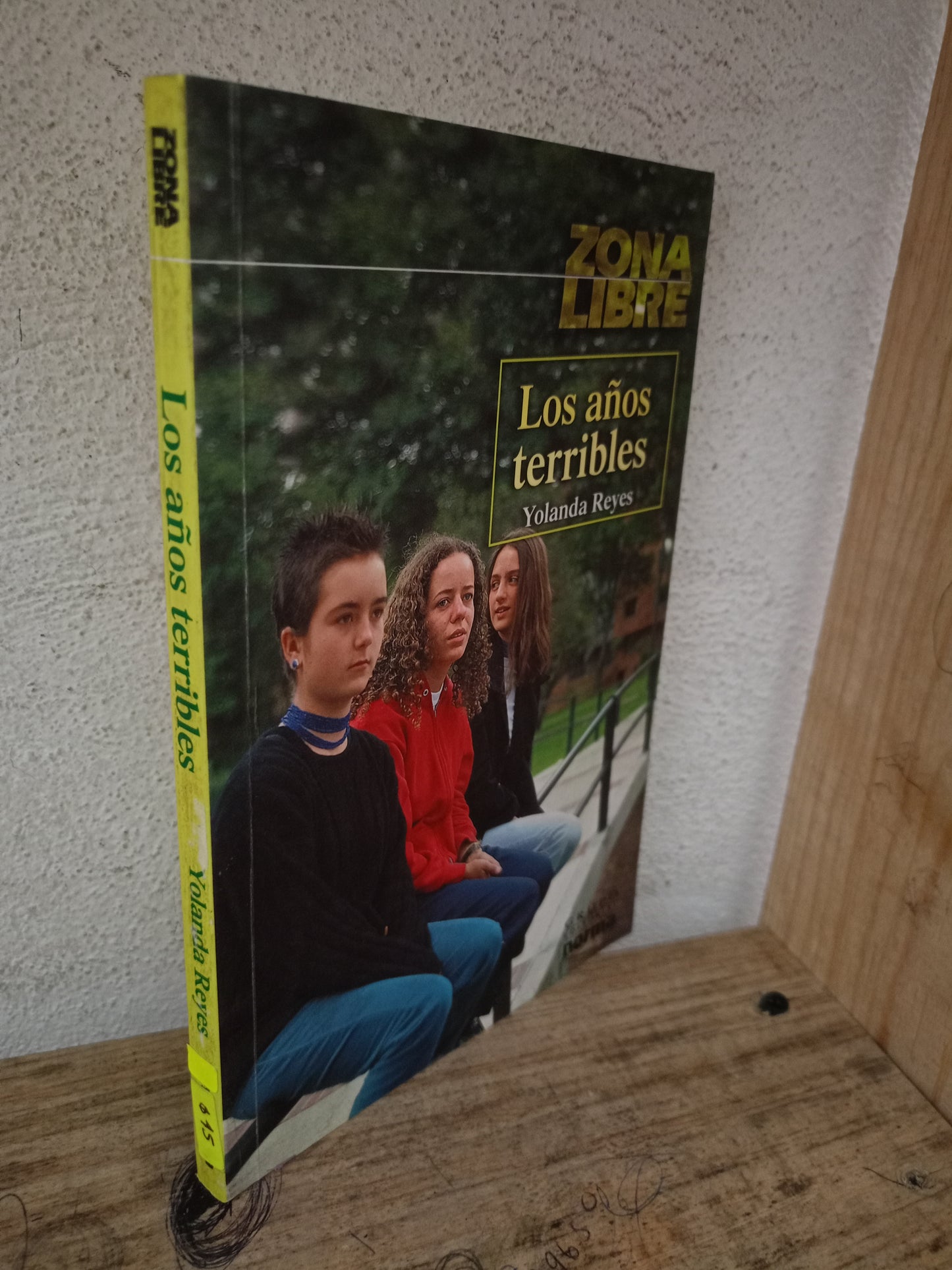 LOS AÑOS TERRIBLES POR YOLANDA REYES USADO NOVELA LITERARIO 305