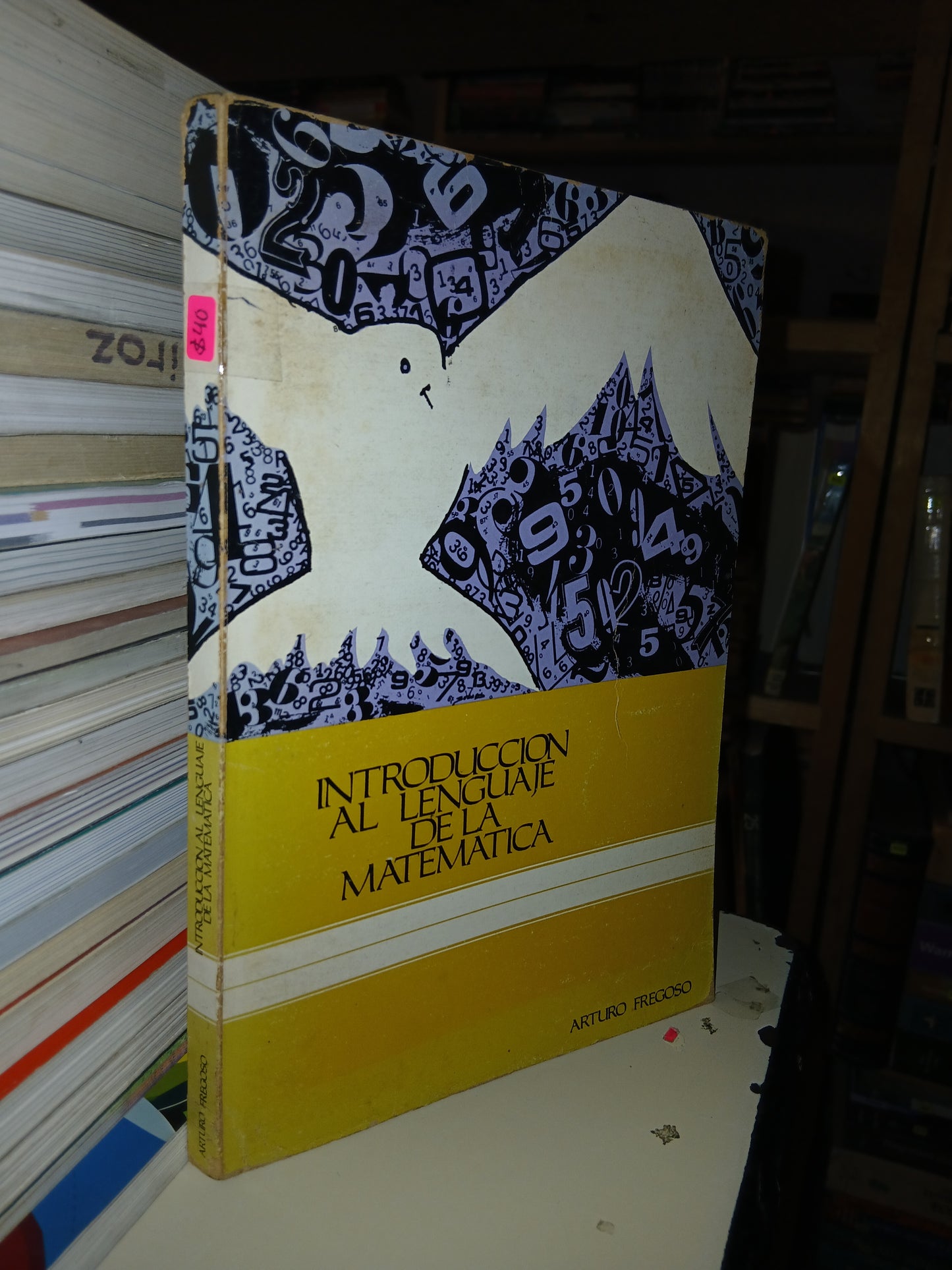 INTRODUCCIÓN AL LENGUAJE DE LA MATEMÁTICA POR ARTURO FREGOSO USADO MATEMÁTICAS LITERARIO 207