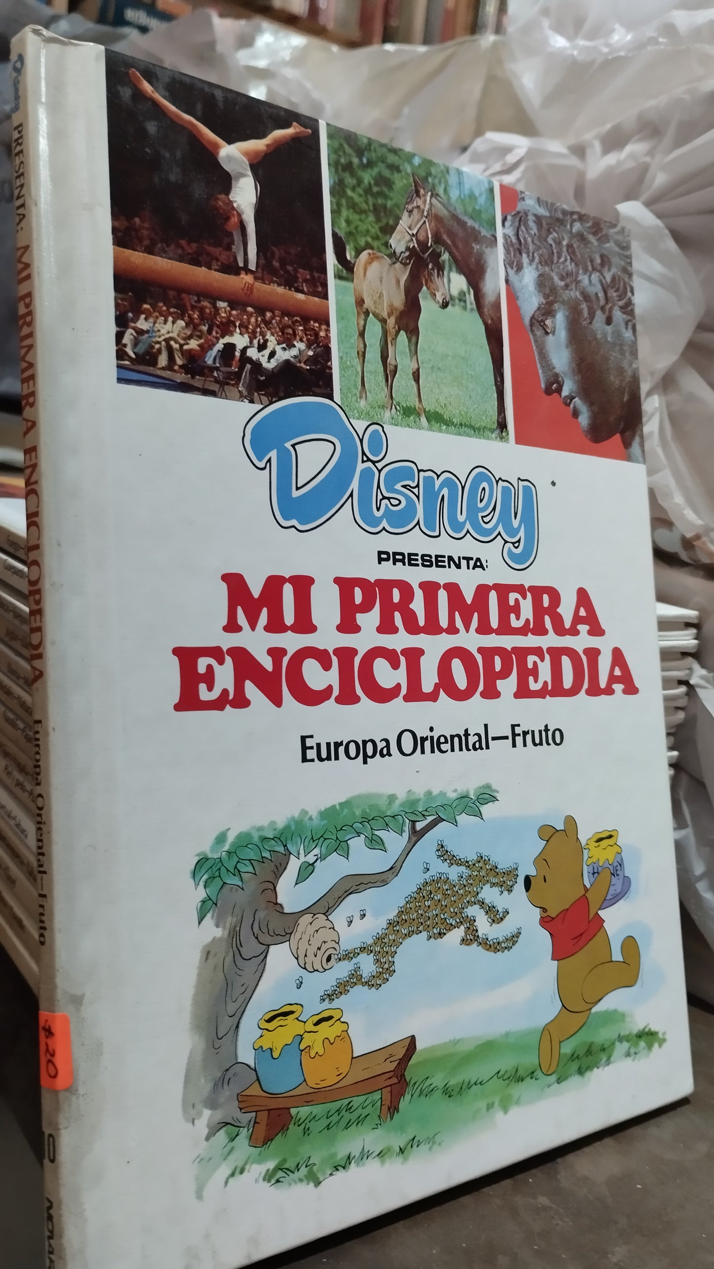 MI PRIMERA ENCICLOPEDIA EUROPA ORIENTAL FRUTO LIBRO USADO INFANTIL ALDAMA
