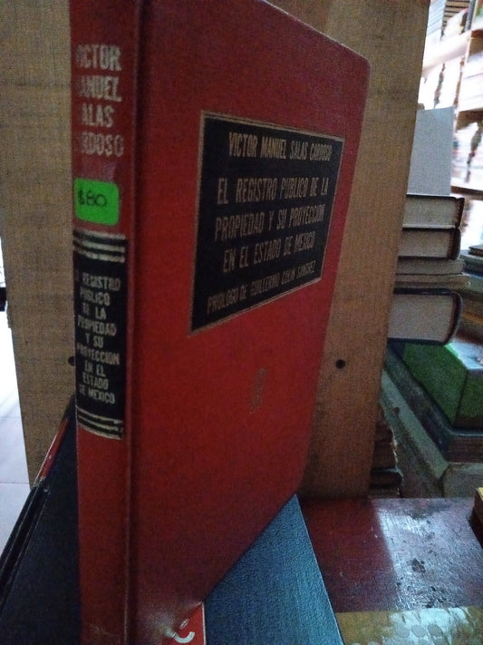 EL REGISTRO PÚBLICO DE LA PROPIEDAD Y SU PROYECCION EN EL ESTADO DE MEXICO POR VICTOR MANUEL SALAS USADO DERECHO LITERARIO 207