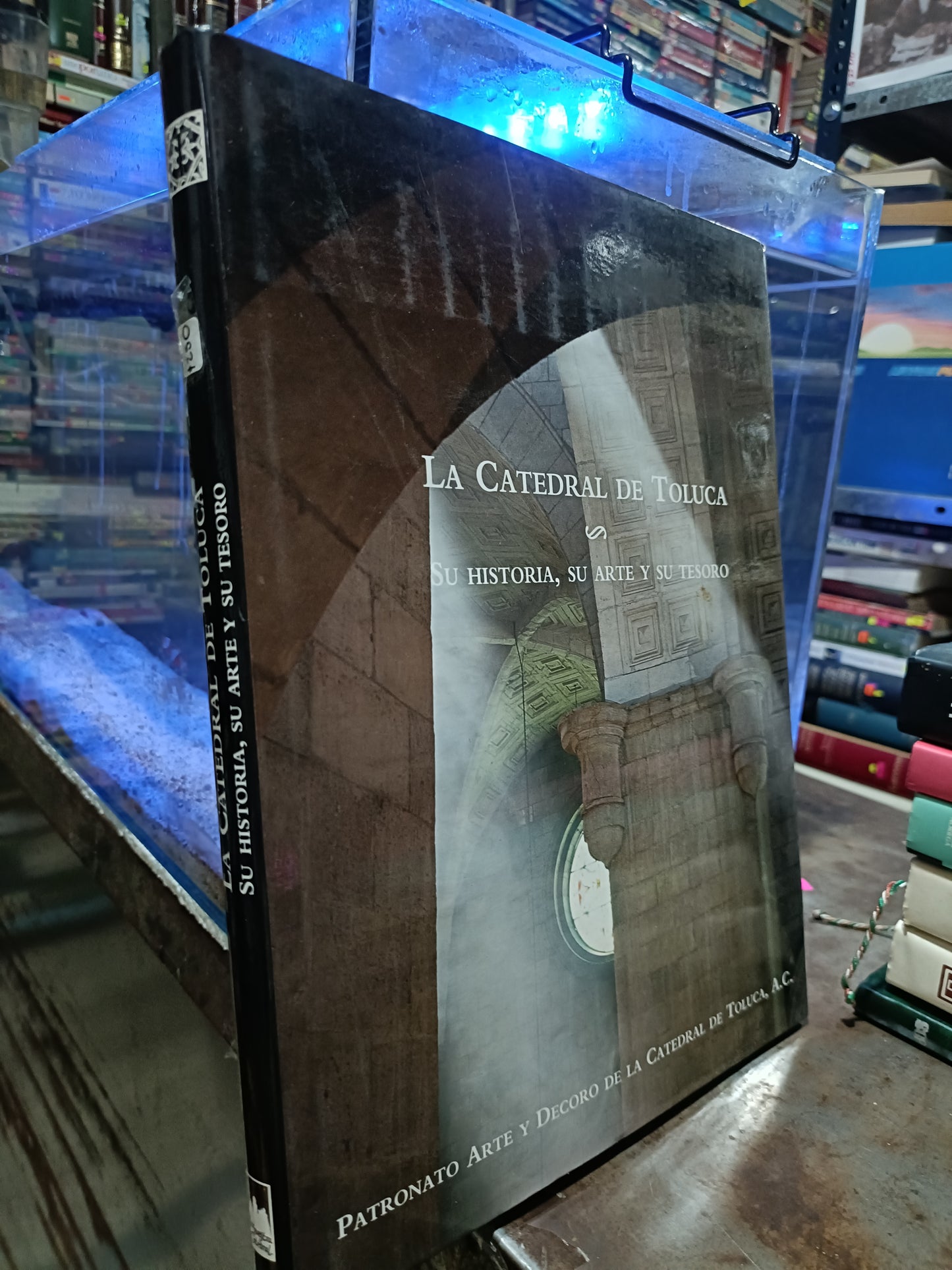 LA CATEDRAL DE TOLUCA SU HISTORIA SU ARTE Y SU TESORO USADO ARTE ALDAMA