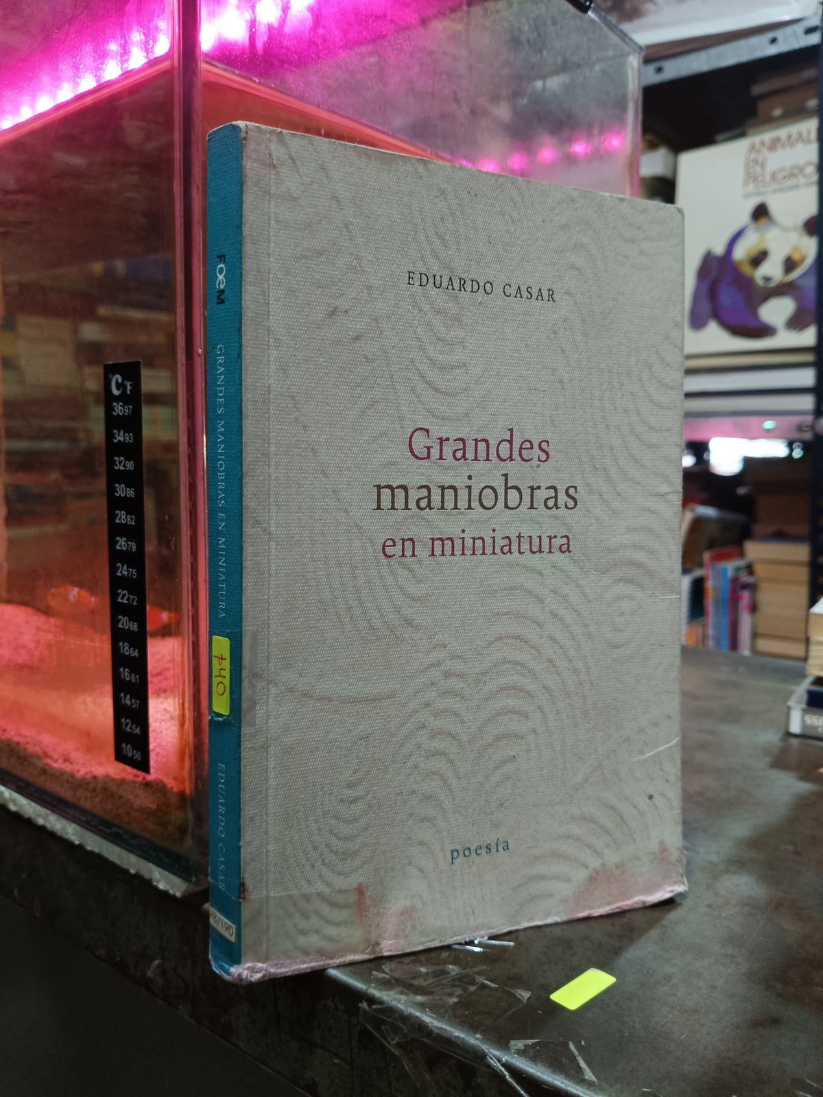 GRANDES MANIOBRAS EN MINIATURA POR EDUARDO CASAR USADO POESIA ALDAMA