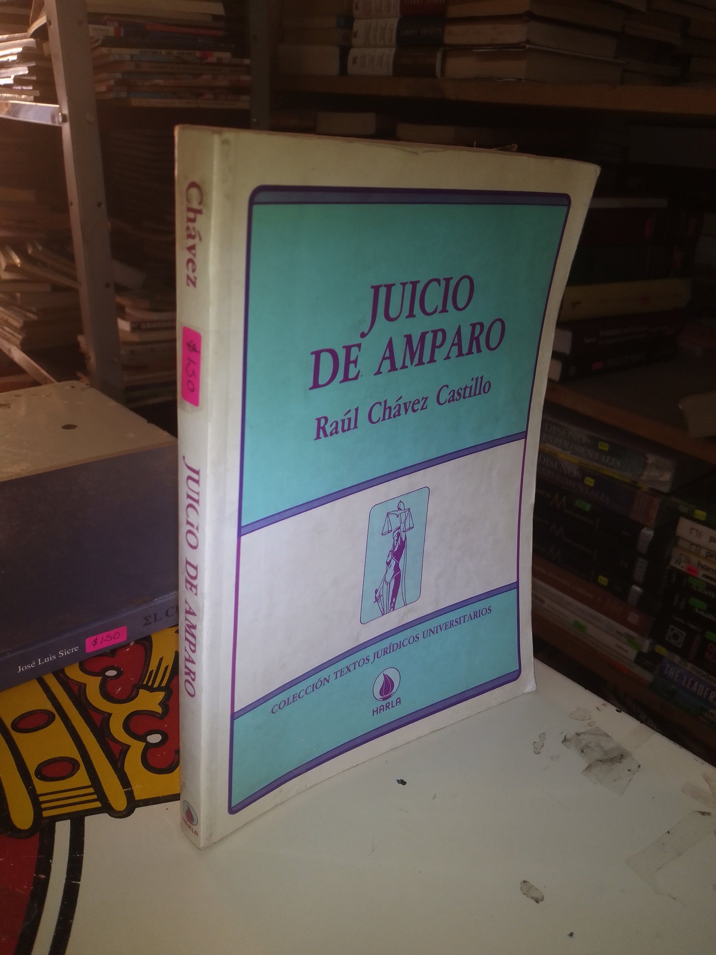 JUICIO DE AMPARO POR RAÚL CHÁVEZ CASTILLO USADO DERECHO LITERARIO 207