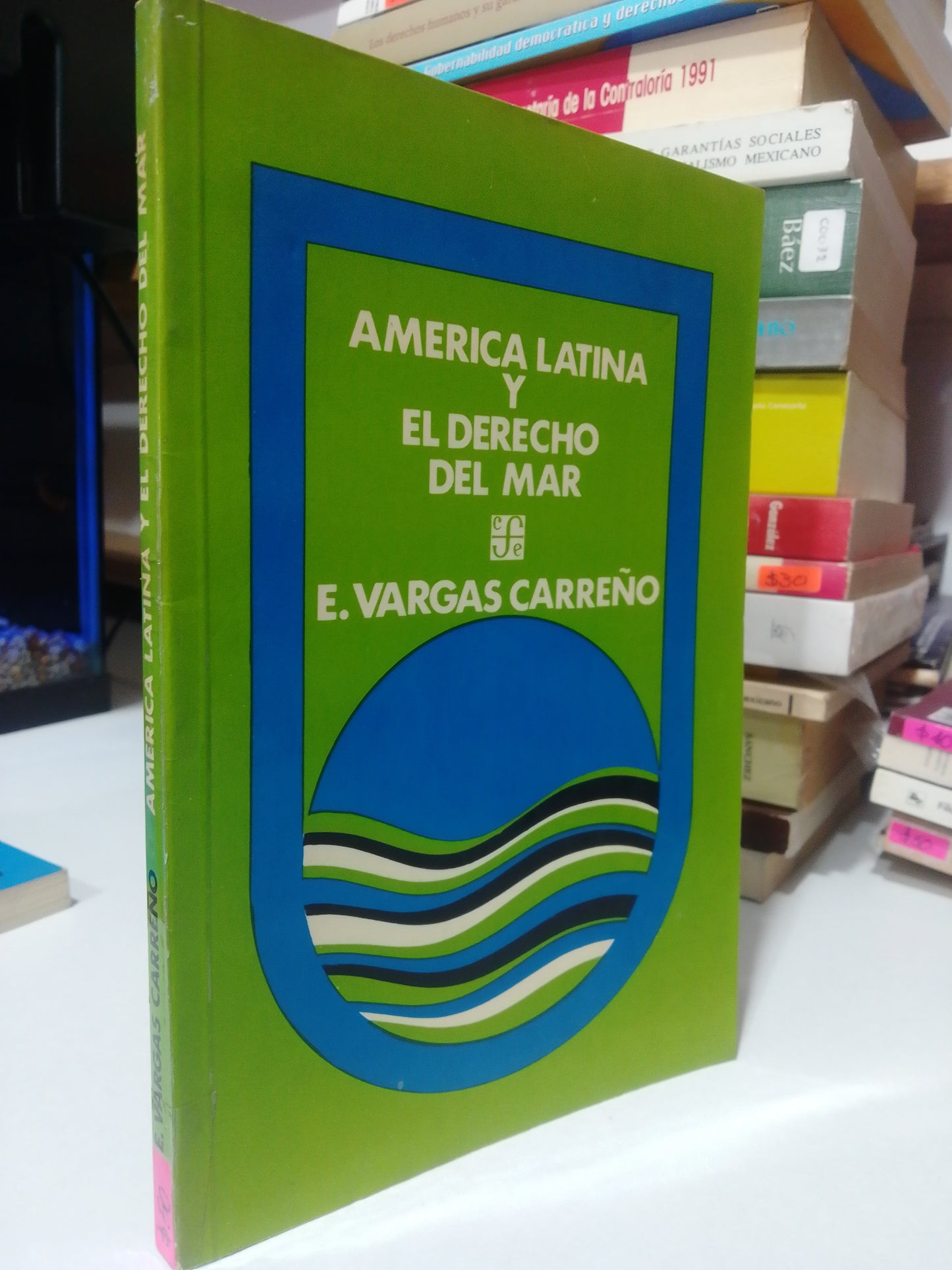AMERICA LATINA Y EL DERECHO DEL AMAR POR E. VARGAS CARREÑO USADO DERECHO JUAREZ