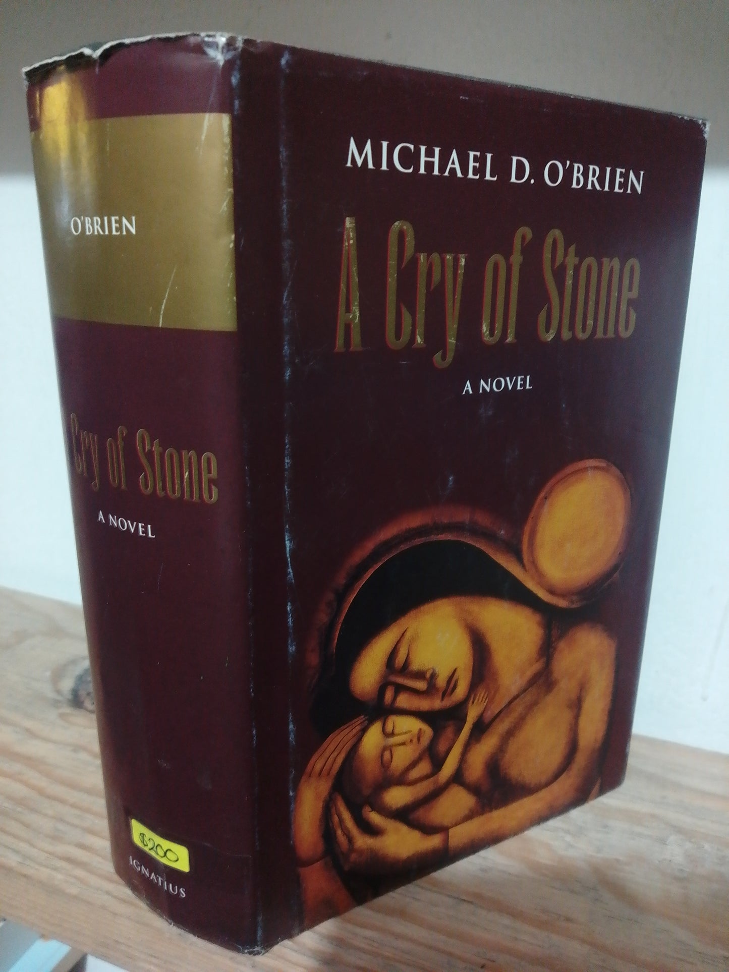 A CRY OF STONE POR MICHAEL D.O BRIEN USADO IDIOMAS JUAREZ