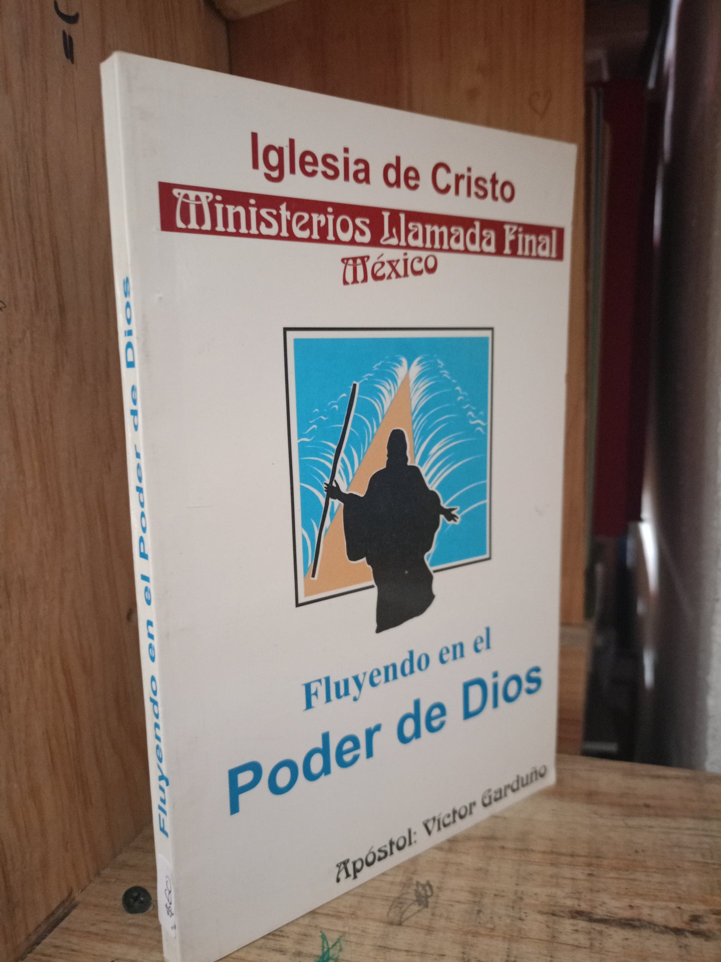 FLUYENDO EN EL PODER DE DIOS POR VÍCTOR GARDUÑO USADO RELIGIÓN LITERAL 305